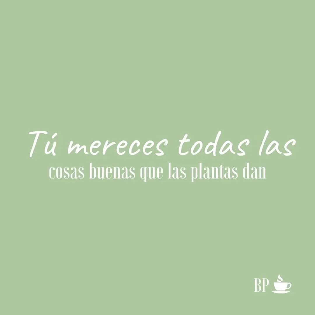 Waooo si yo te contara todas las cosas buenas que traen las Plantas a nuestras Vidas me quedar&iacute;a horas aqu&iacute;.  Pero tengo una mejor idea.

Inspira a otros a empezar su recorrido con las plantas comentando aqu&iacute; 🙌  las maravillosas