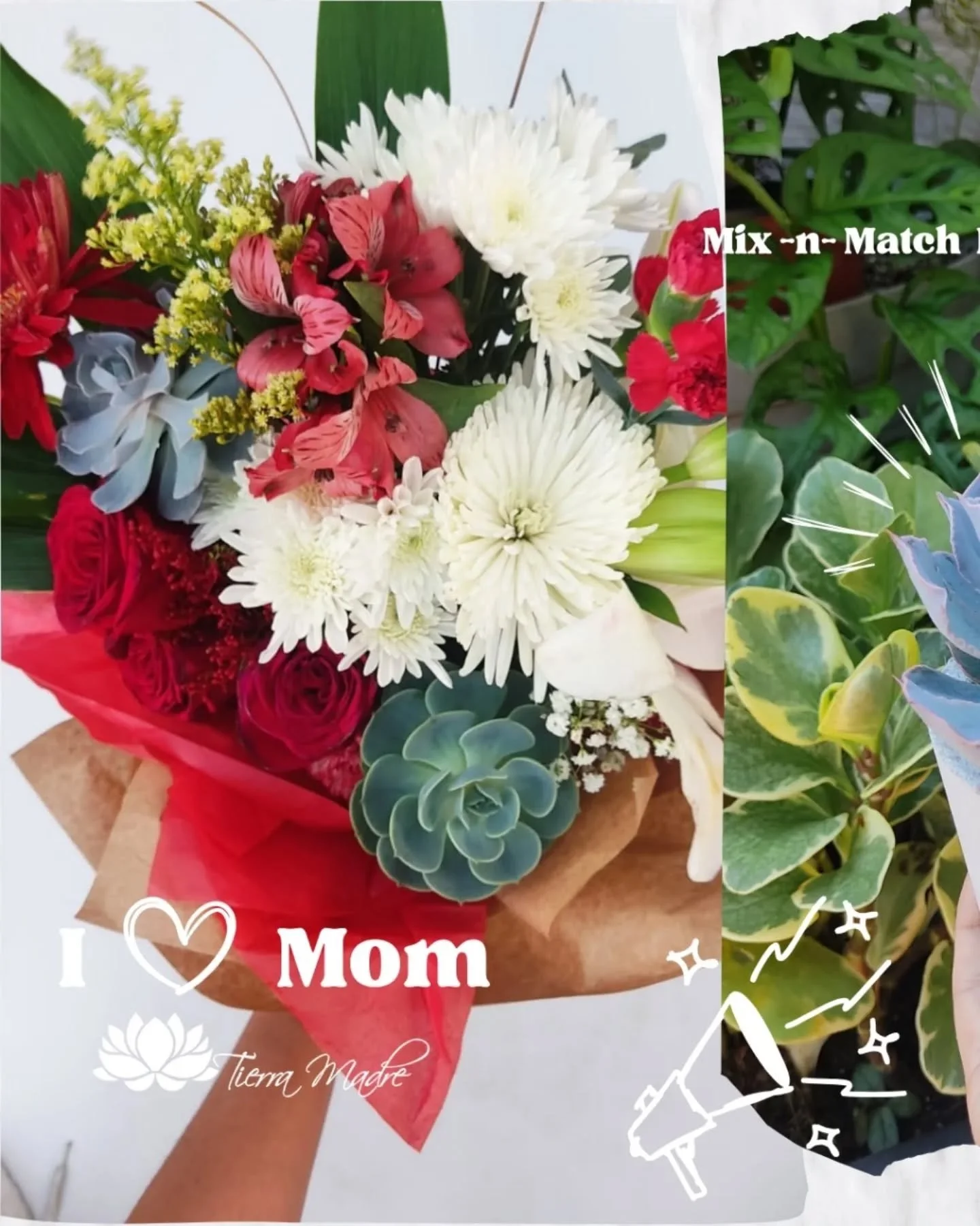 Tu mam&aacute; llam&oacute;, ella quiere los regalos de Tierra Madre😜

Esta es s&oacute;lo una peque&ntilde;a gu&iacute;a de los incre&iacute;bles Regalos Bot&aacute;nicos que tenemos para tus regalos especiales del D&iacute;a de la Madre, puedes ve