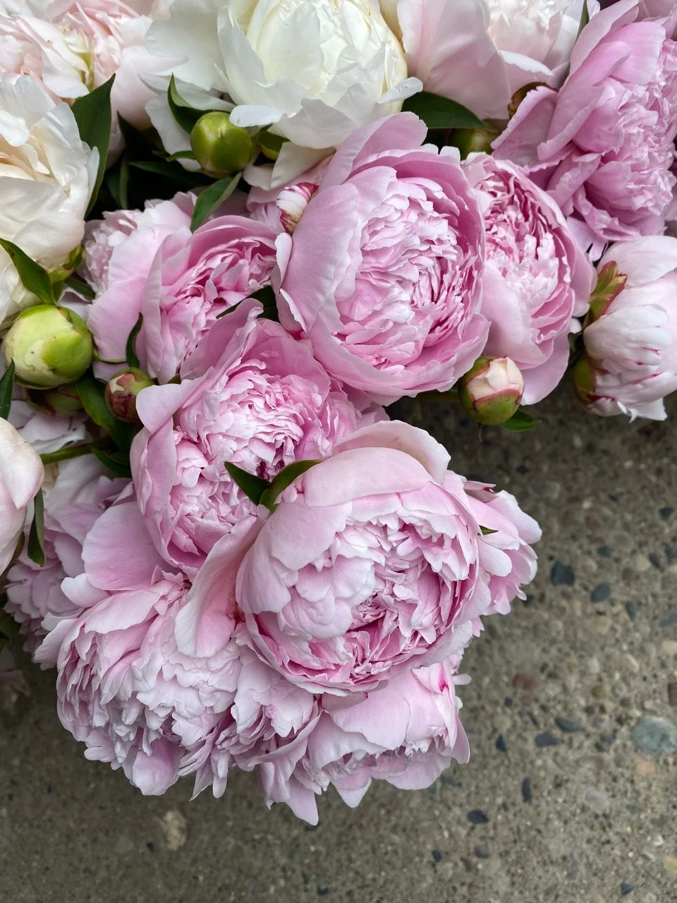 Store 1 — Lucky M Flowers