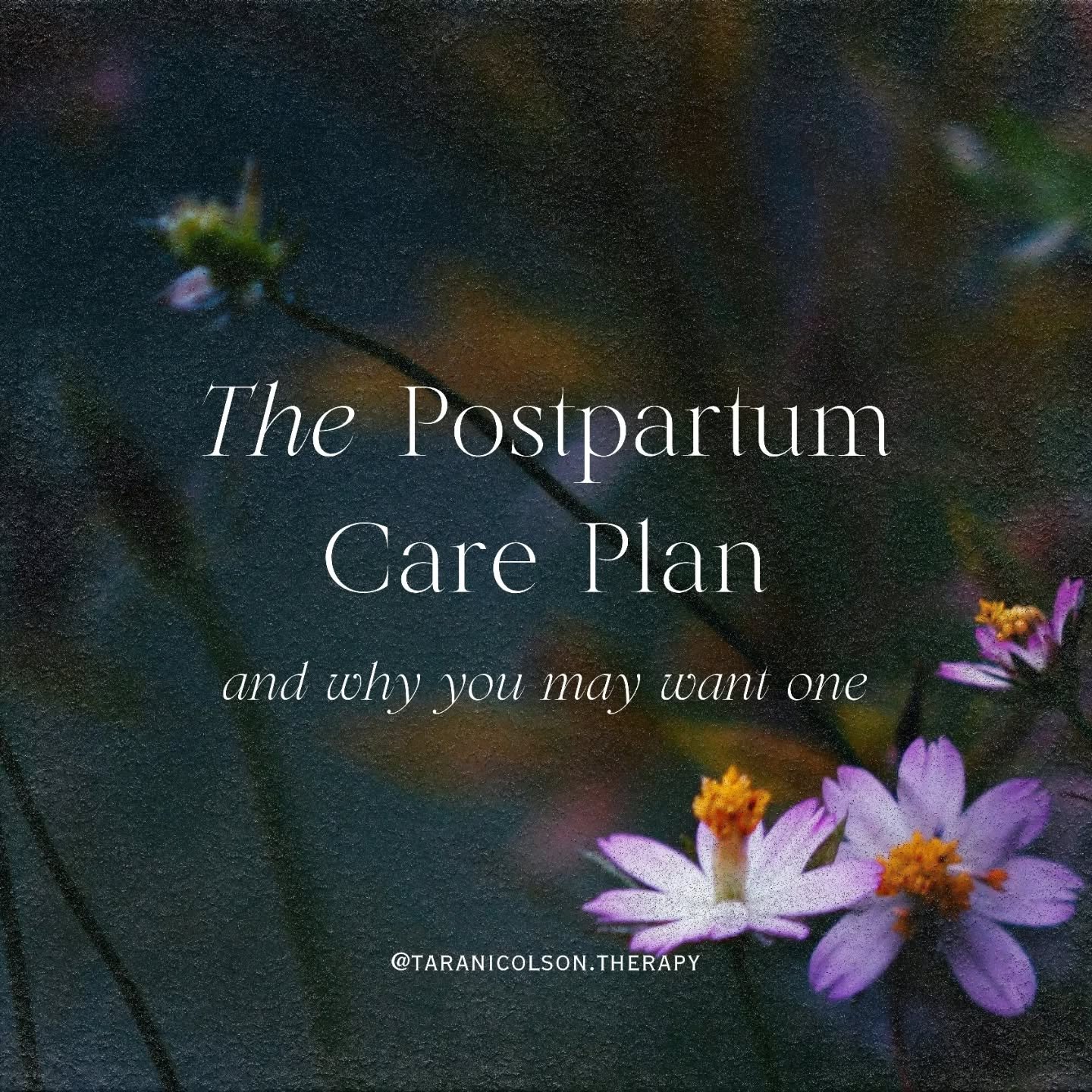 With my first, I had prepared so much for birth that coming home was a shock. I remember feeling very overwhelmed, struggling with depression, and I had a hard time taking care of myself. It was rough and I had a difficult time enjoying the newborn s