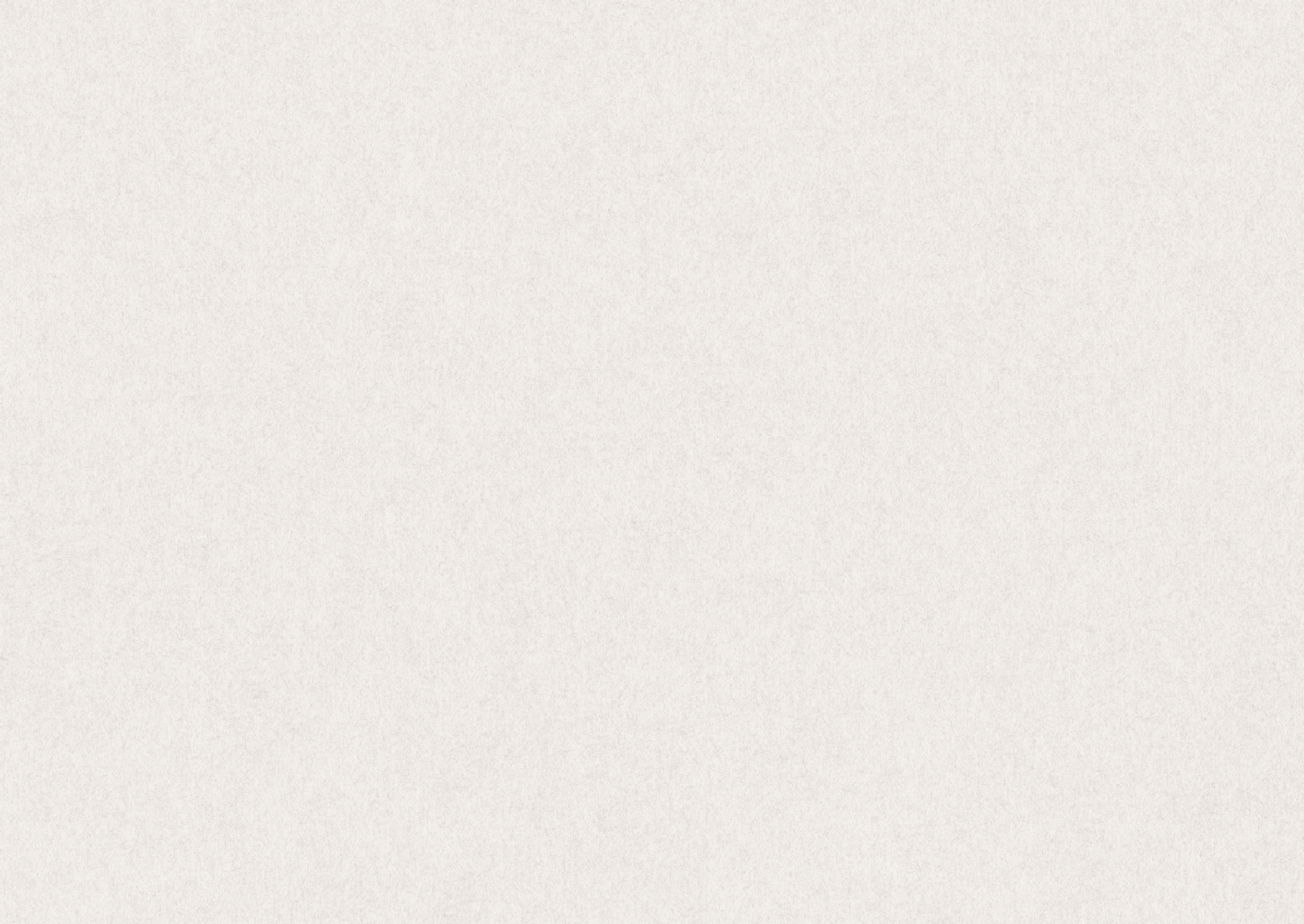 The image is completely blank with a plain, light-colored background.