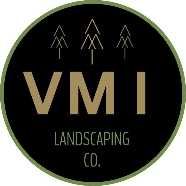 VMI-logo.jpg