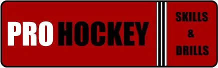pro-hockey-logo-3.jpg