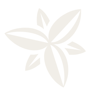 13.png