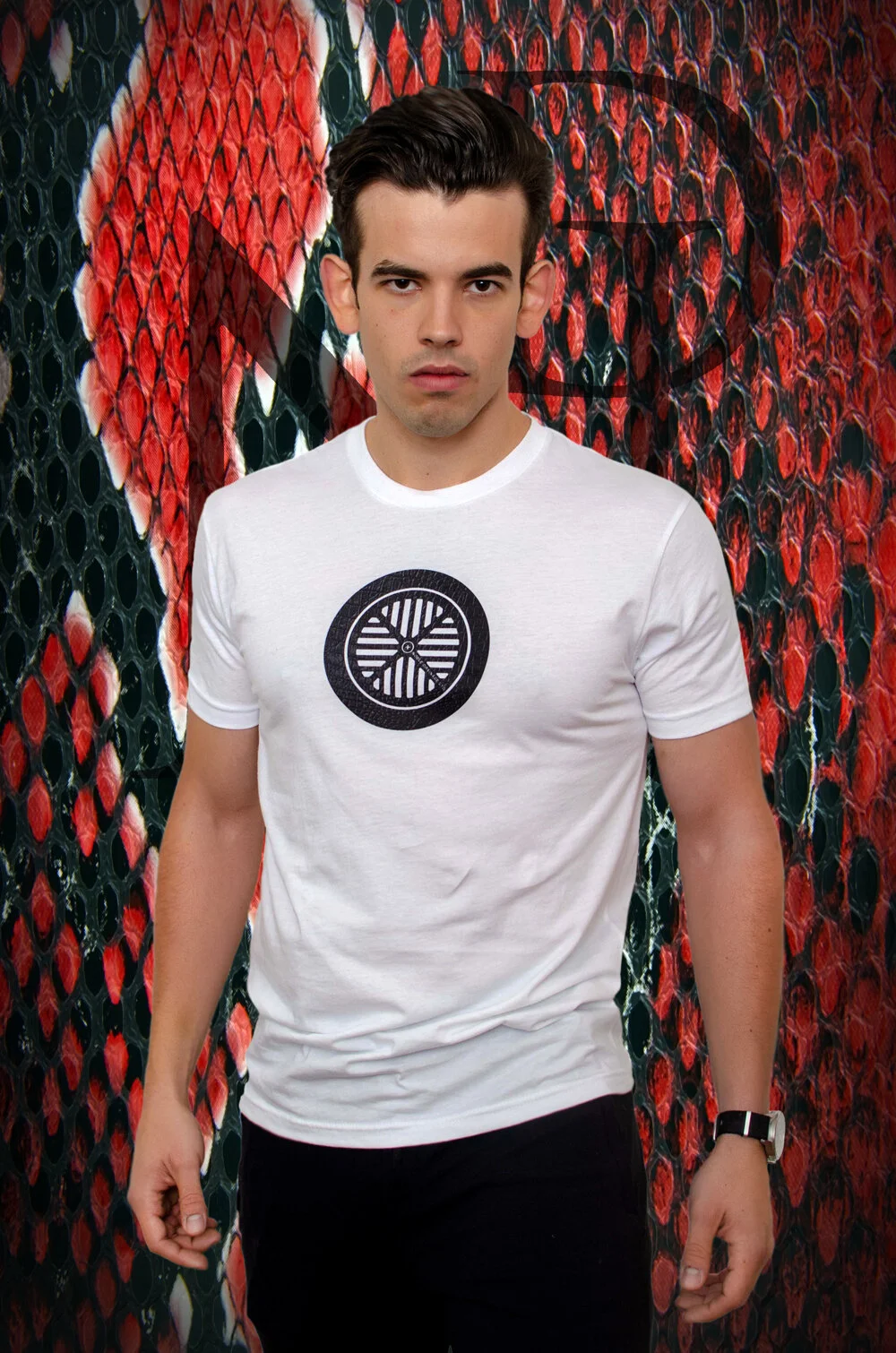 TshirtDSC_5912.final.jpg