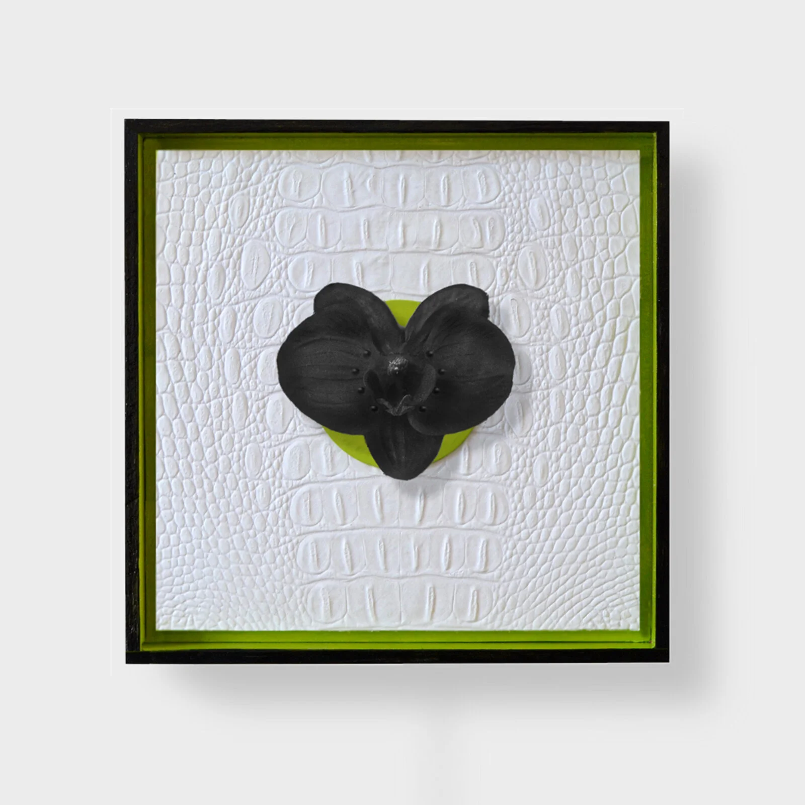 orchid.iG.jpg