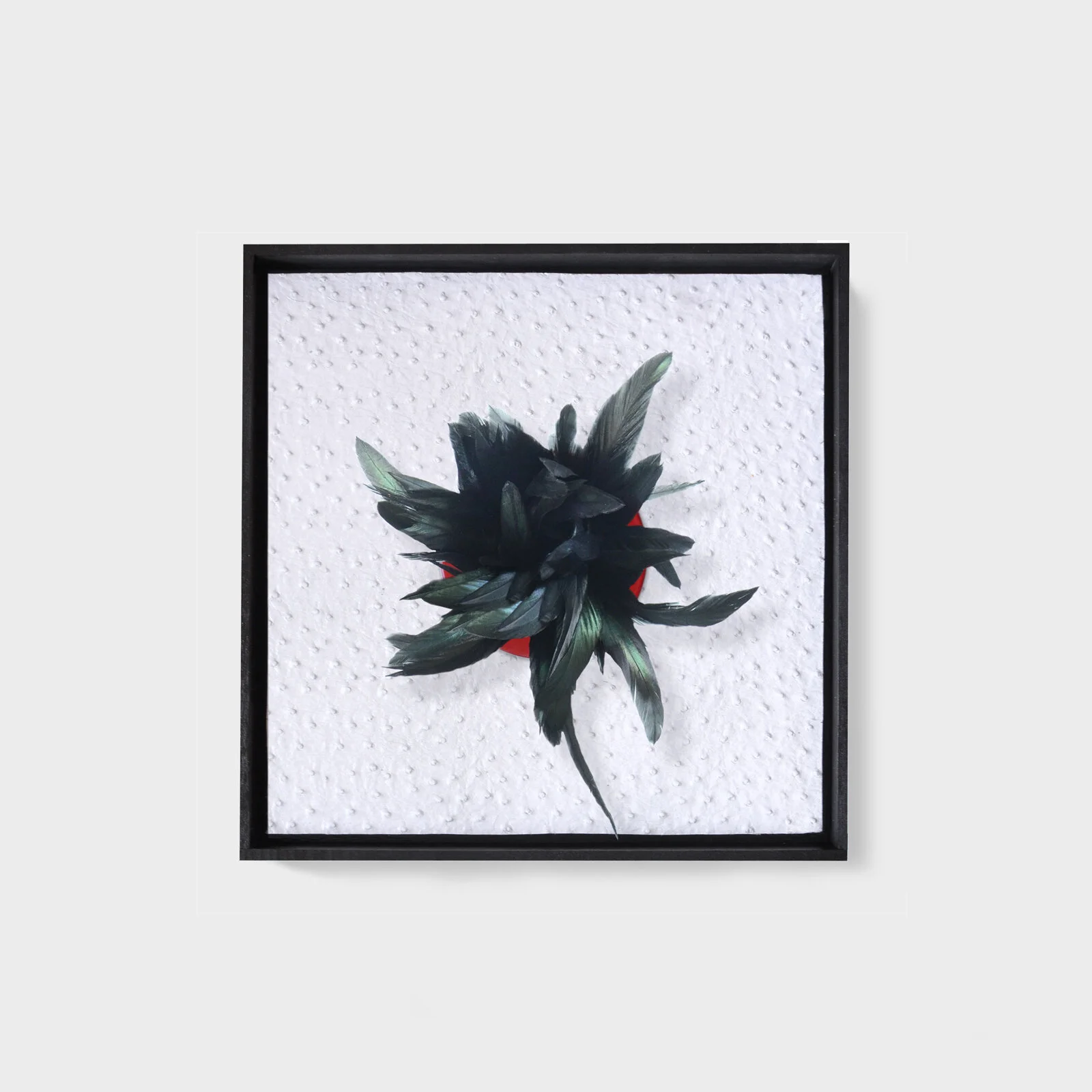 Feather.final.IG.jpg