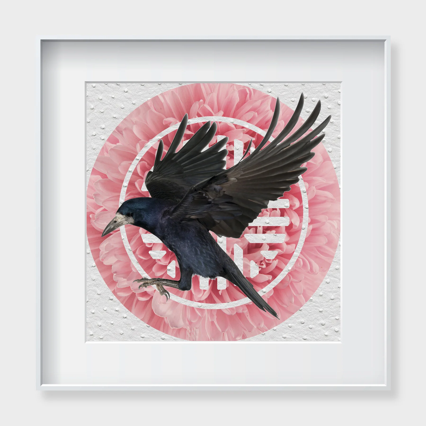 raven.jpg