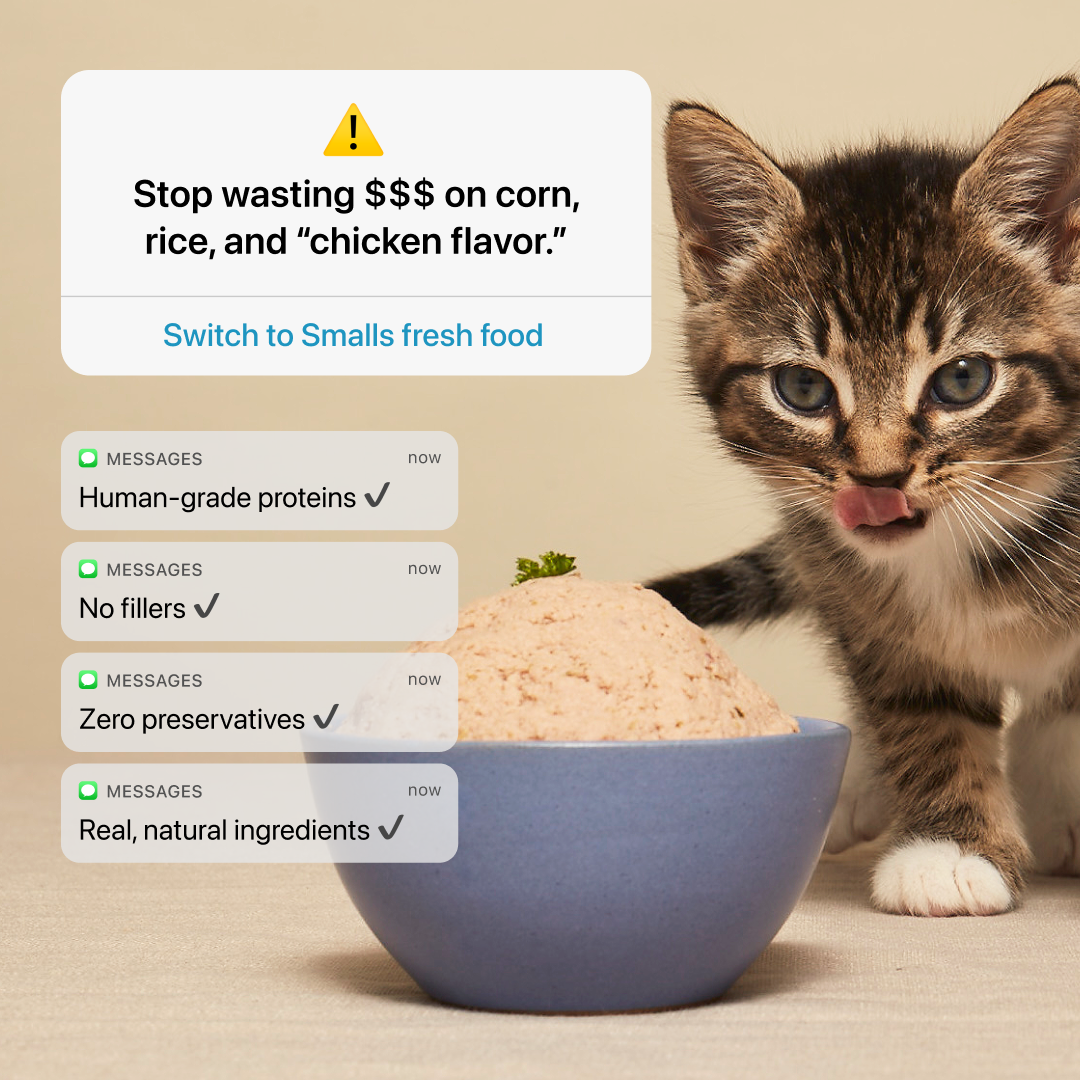 Smalls_WastingYourMoney_StillAd_1080x1080_V1-D.png