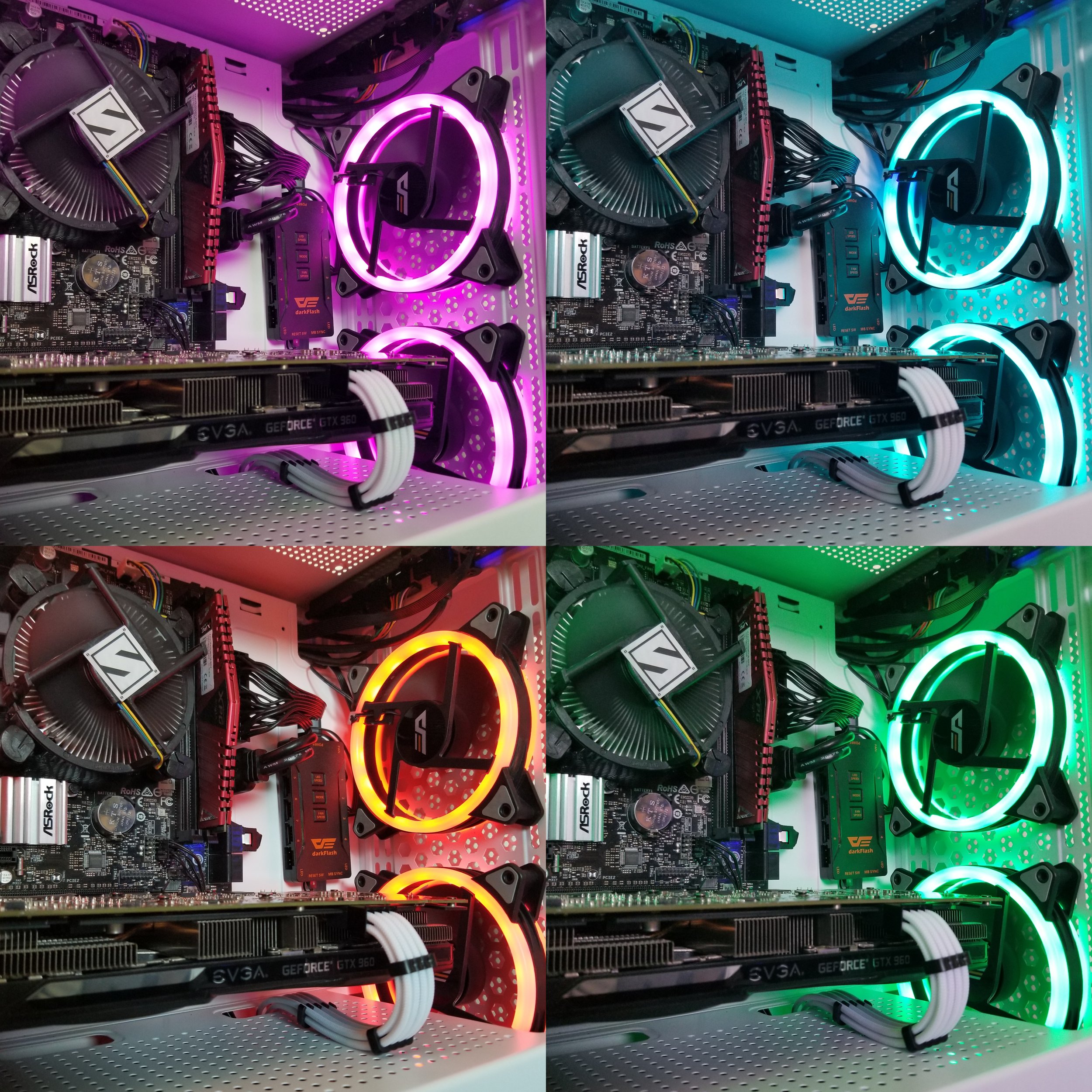 CollageMaker_20211106_150558680.jpg