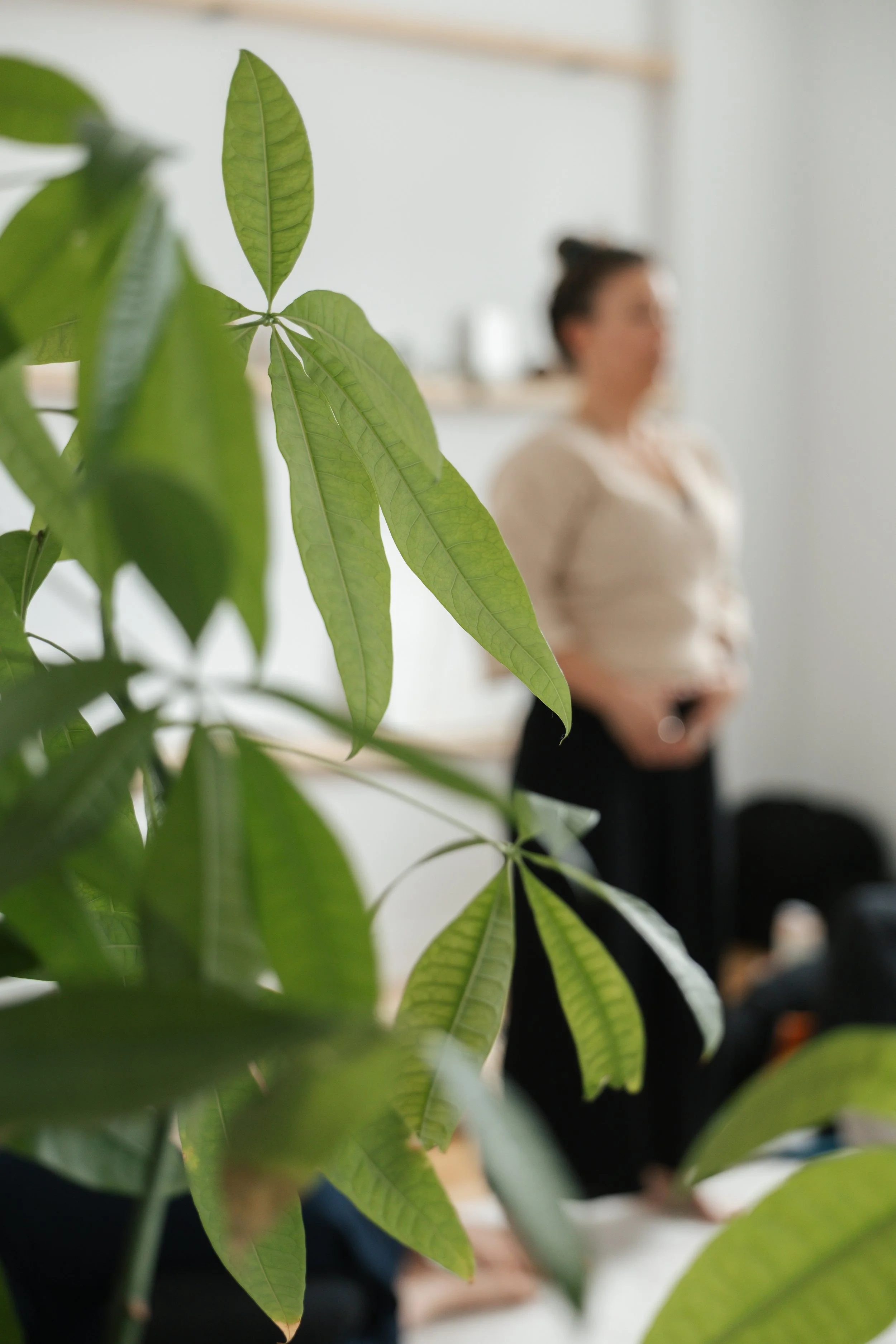 Formation Breathwork et coaching somatique (dépôt)