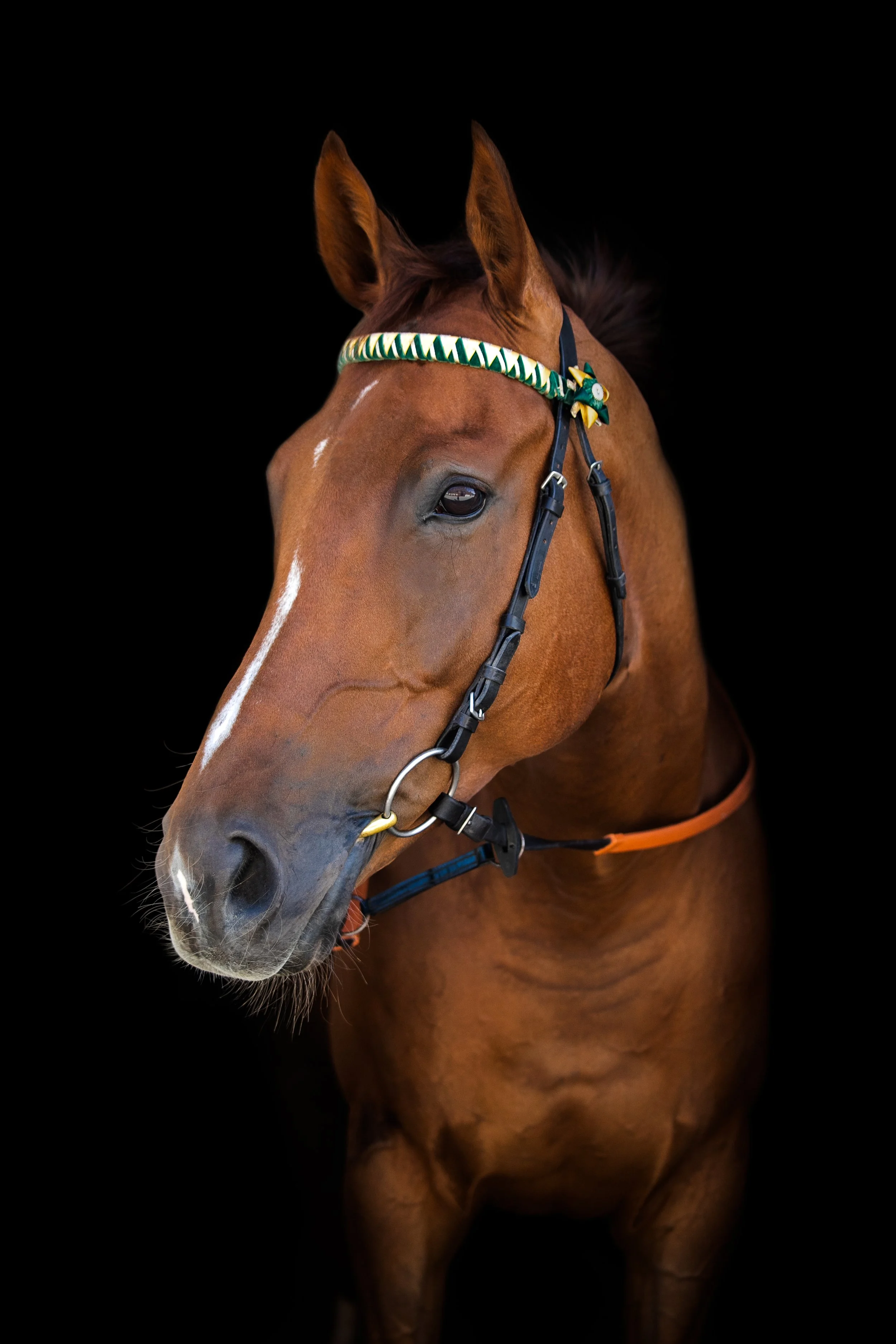 Arthur Final copy.JPG