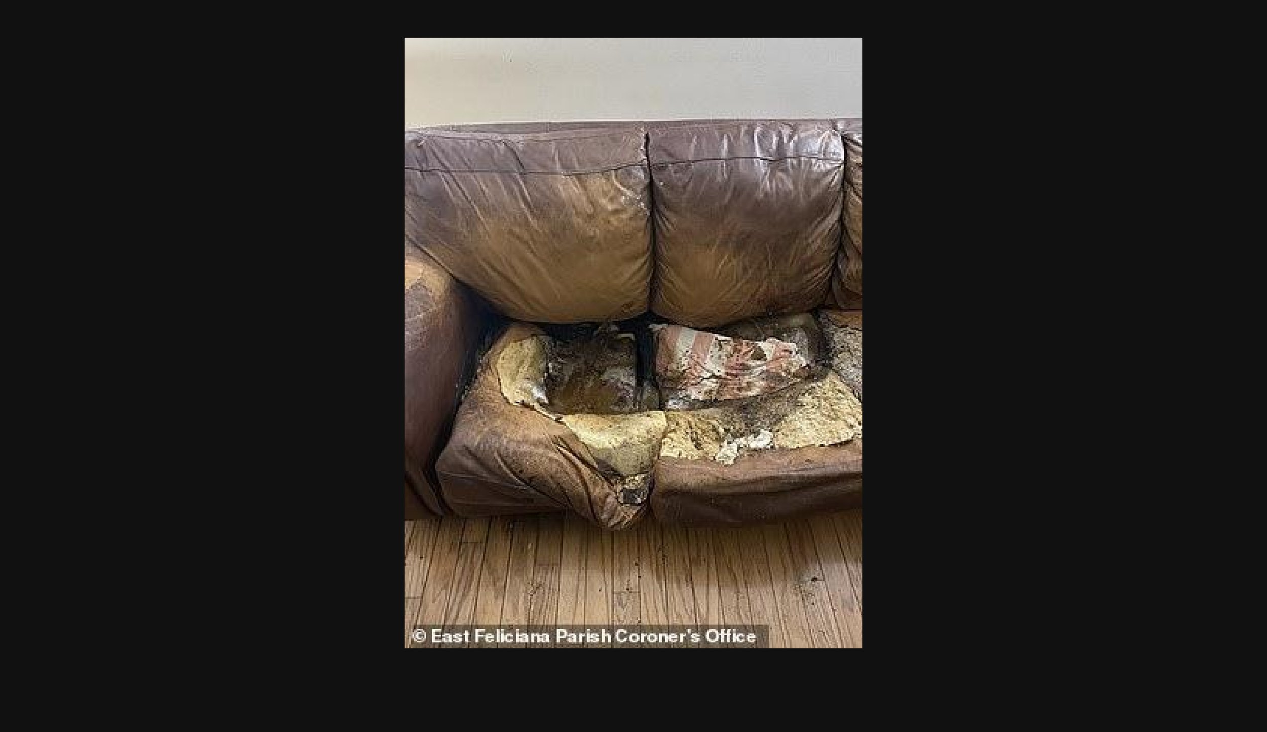  Picture of the sofa 