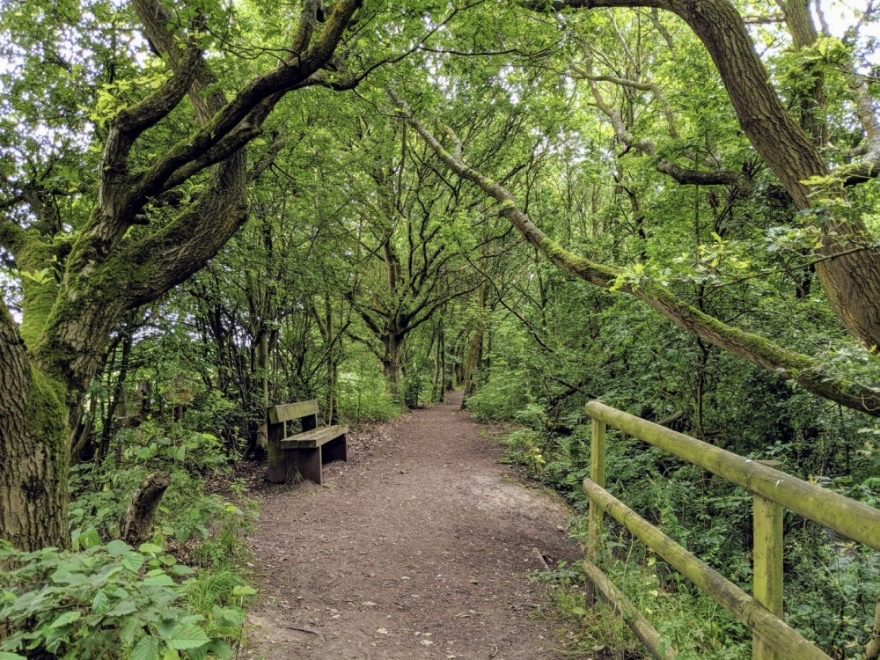  Picture of Culcheth Linear Park 