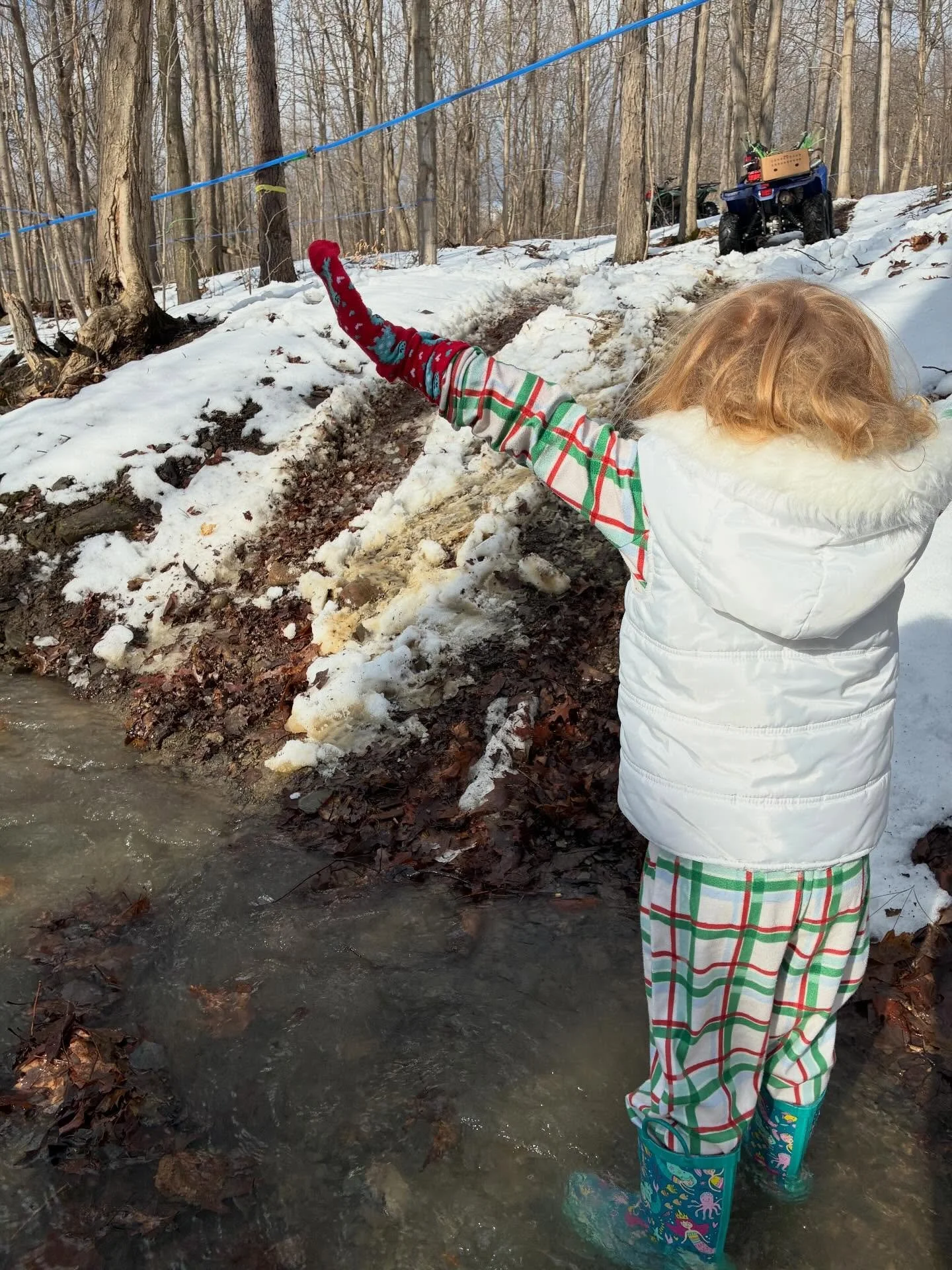 Sunny days, Frosty nights. Maple season is in full swing. Brief pause to play by the creek before meeting up with the mainline that brings our sap to the base to be made into syrup!