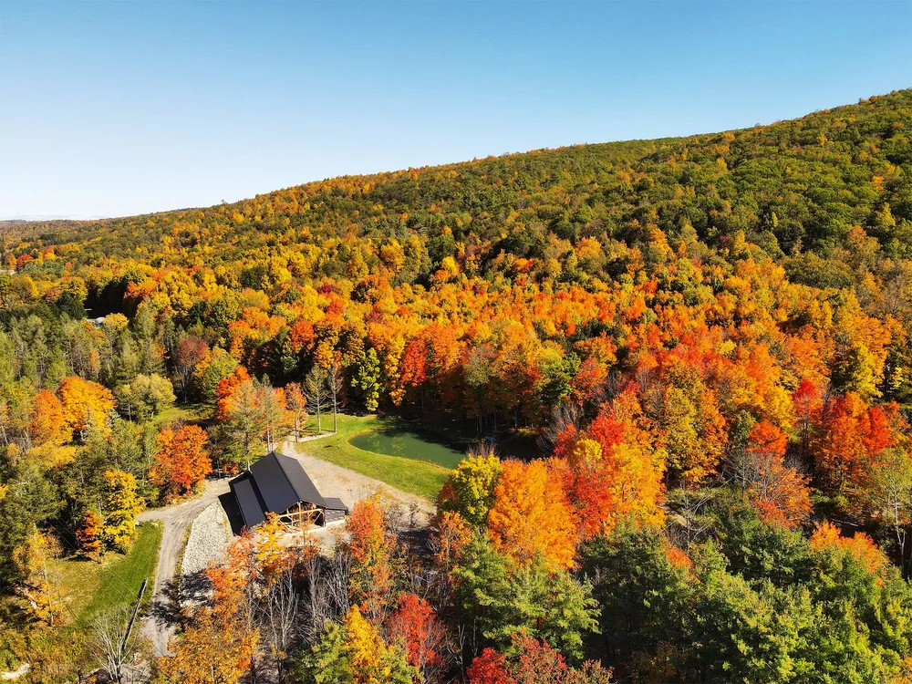Timber Trails Forest Farm