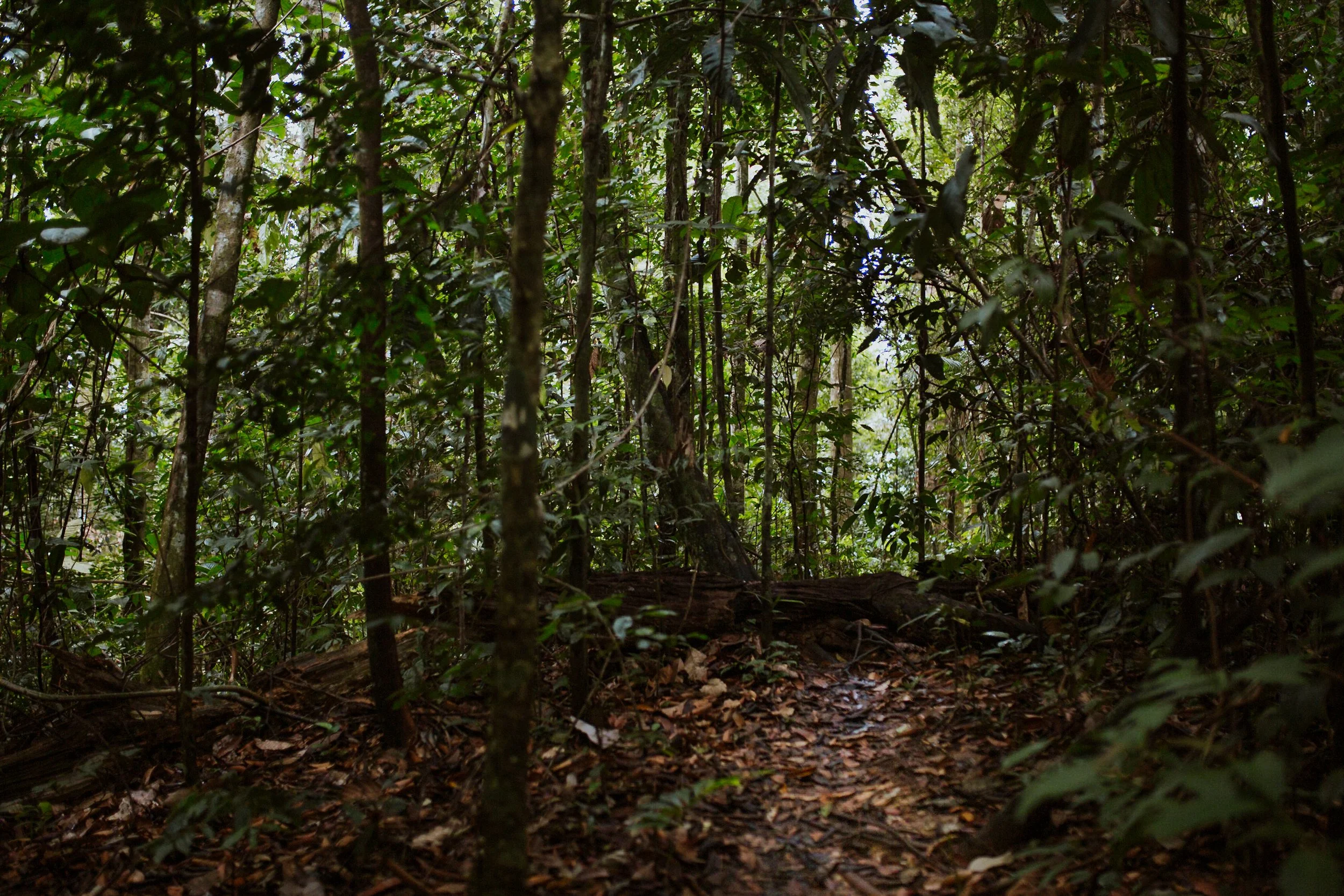Sumatra-Website-Slides-2.jpg
