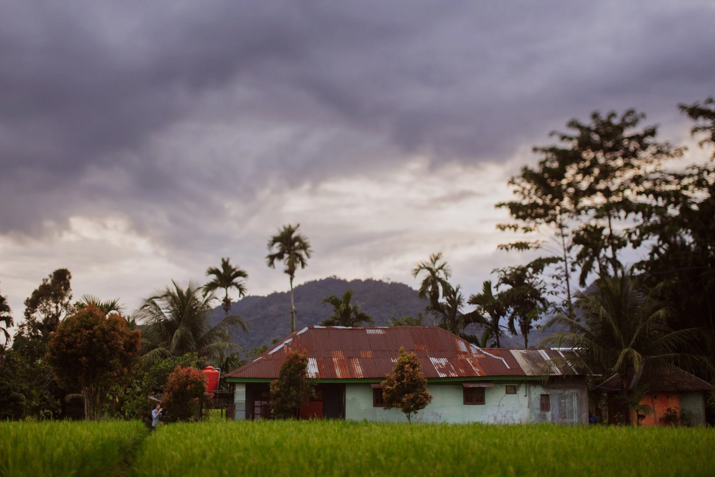 Sumatra-Website-Slides-4.jpg