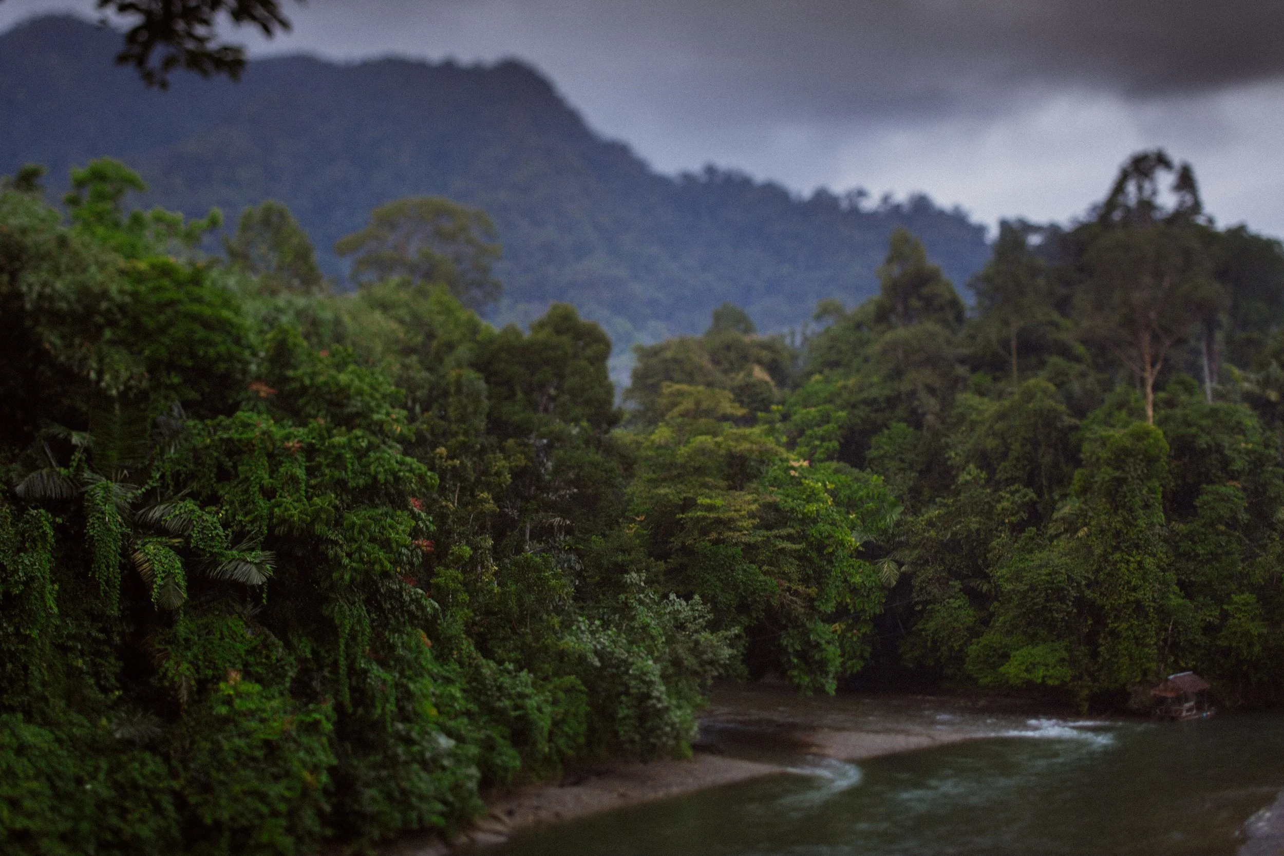 Sumatra-Website-Slides-7.jpg