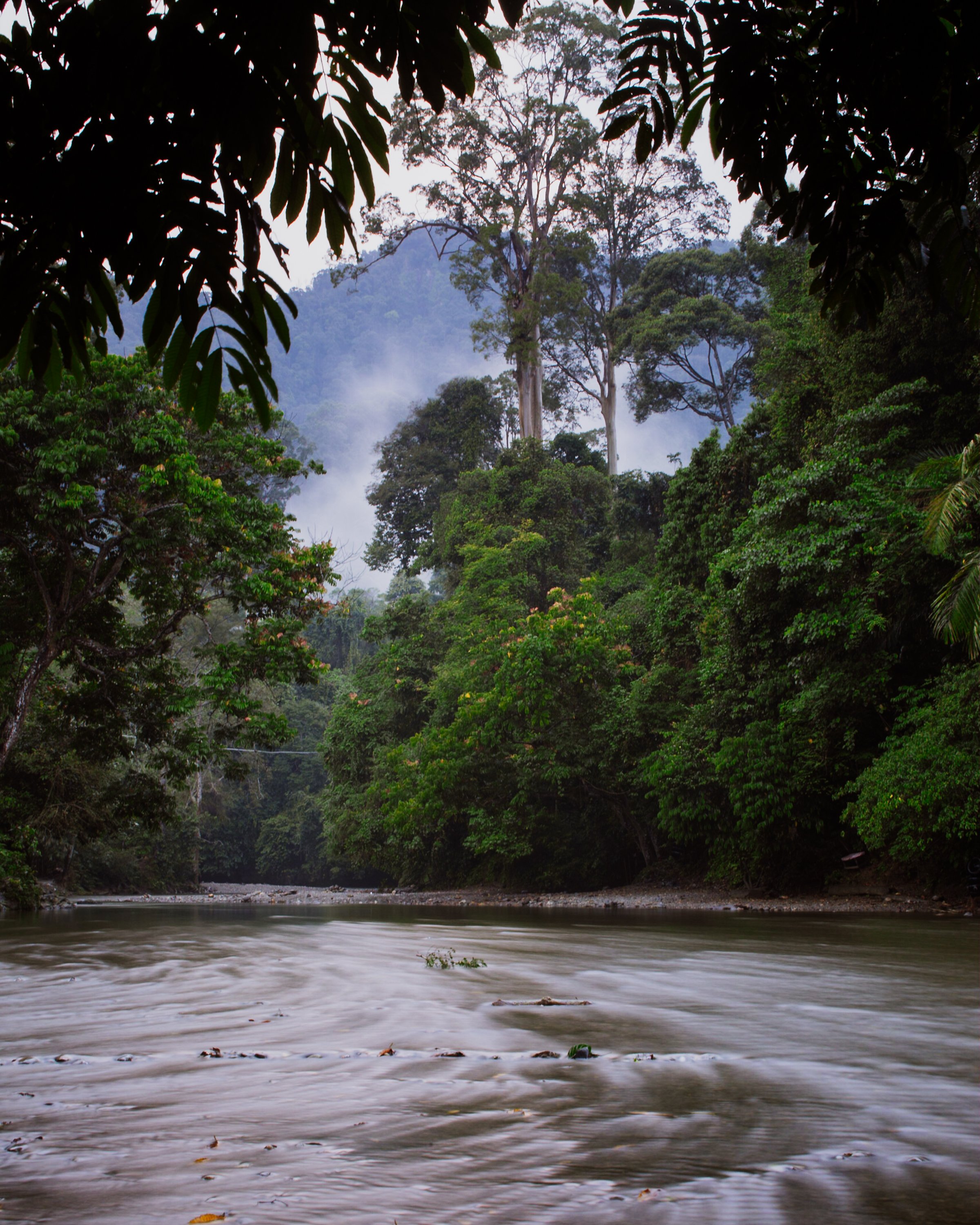 Sumatra-Website-Slides-15.jpg