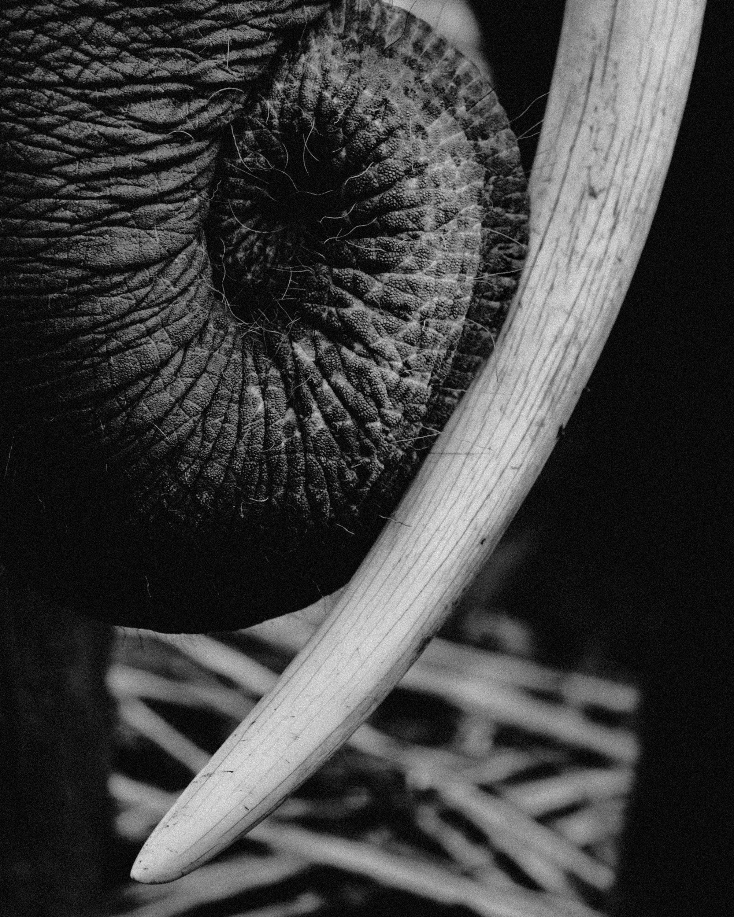 Sumatra-Website-Slides-16.jpg