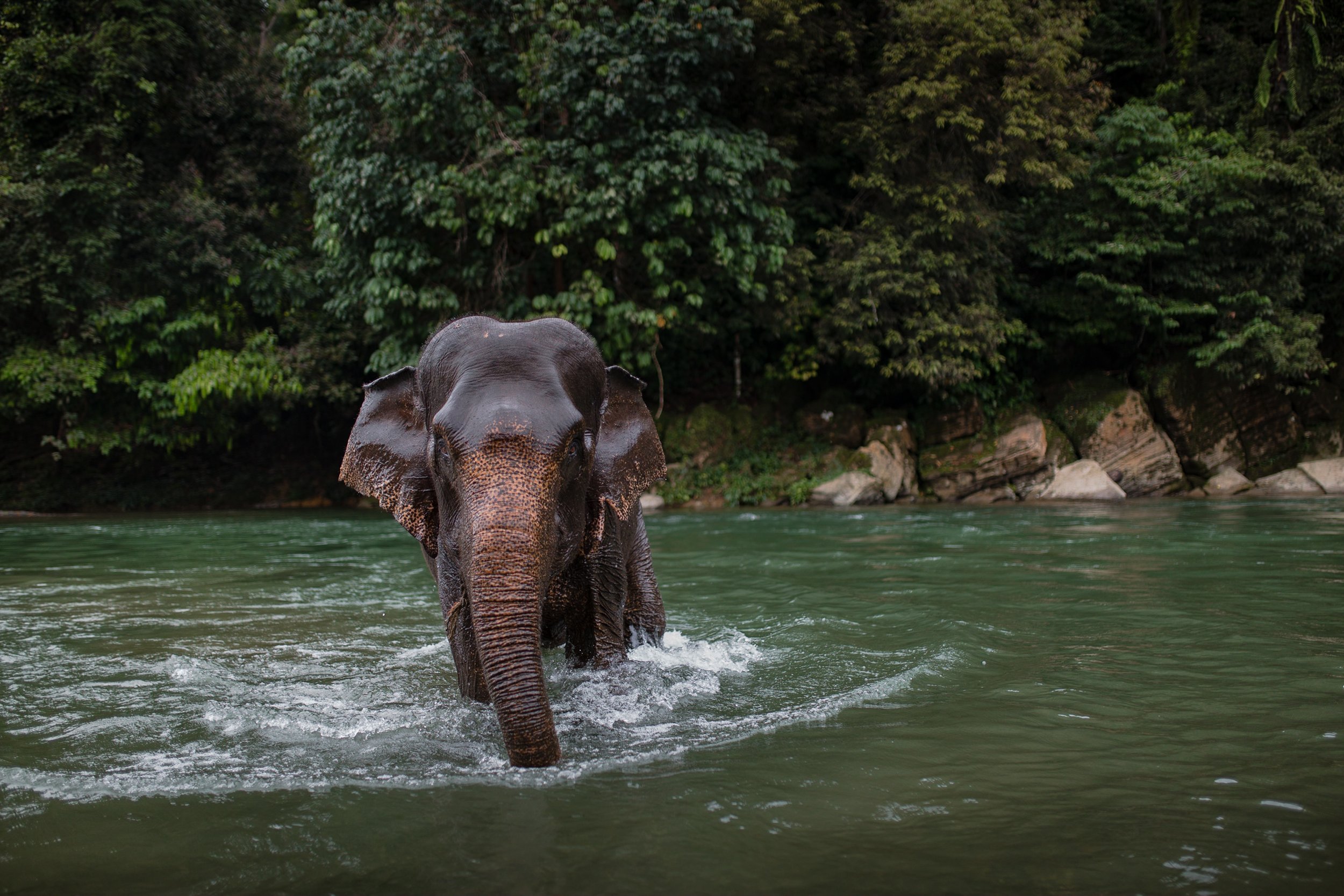 Sumatra-Website-Slides-17.jpg