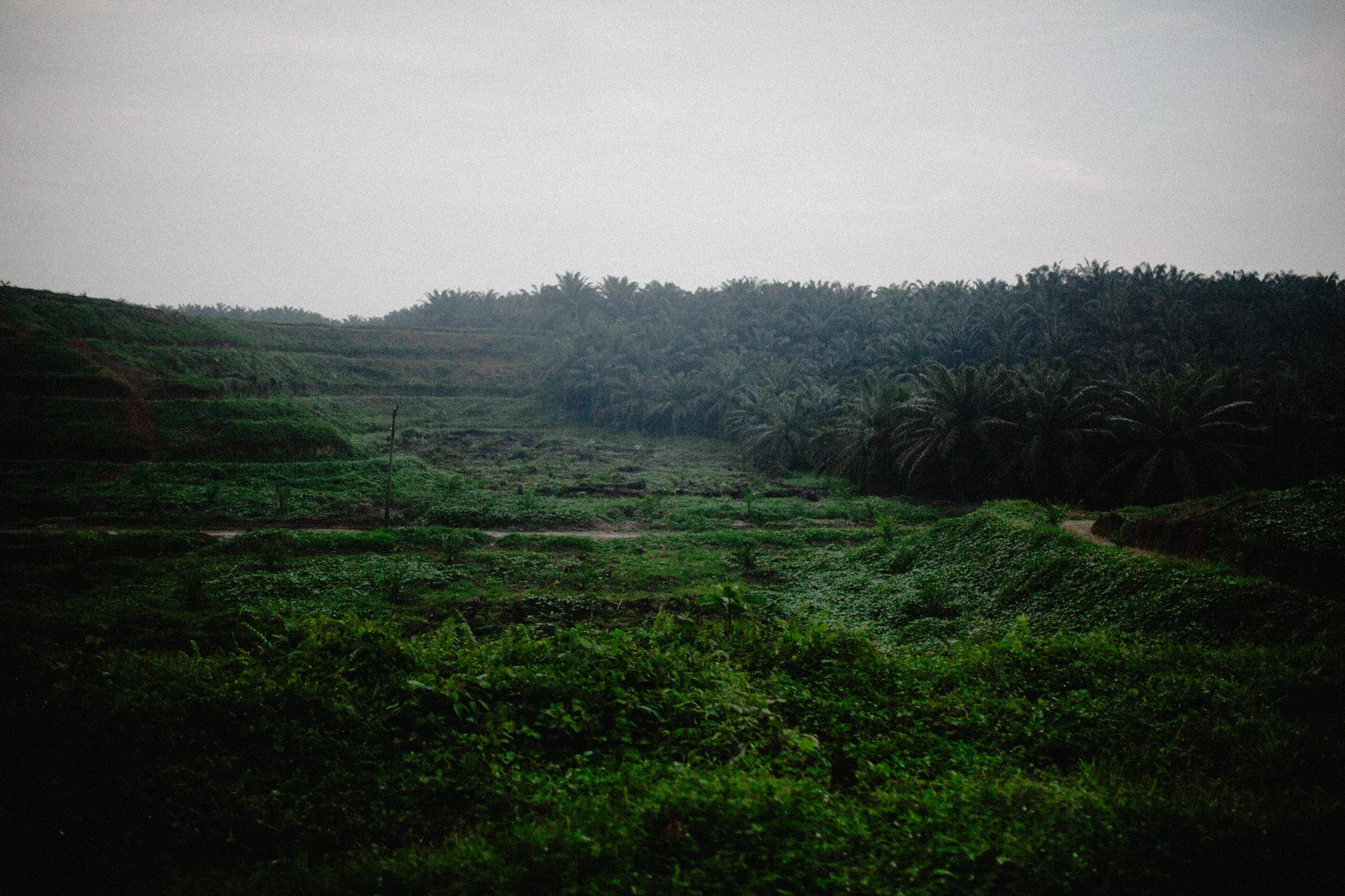 Sumatra-Website-Slides-18.jpg