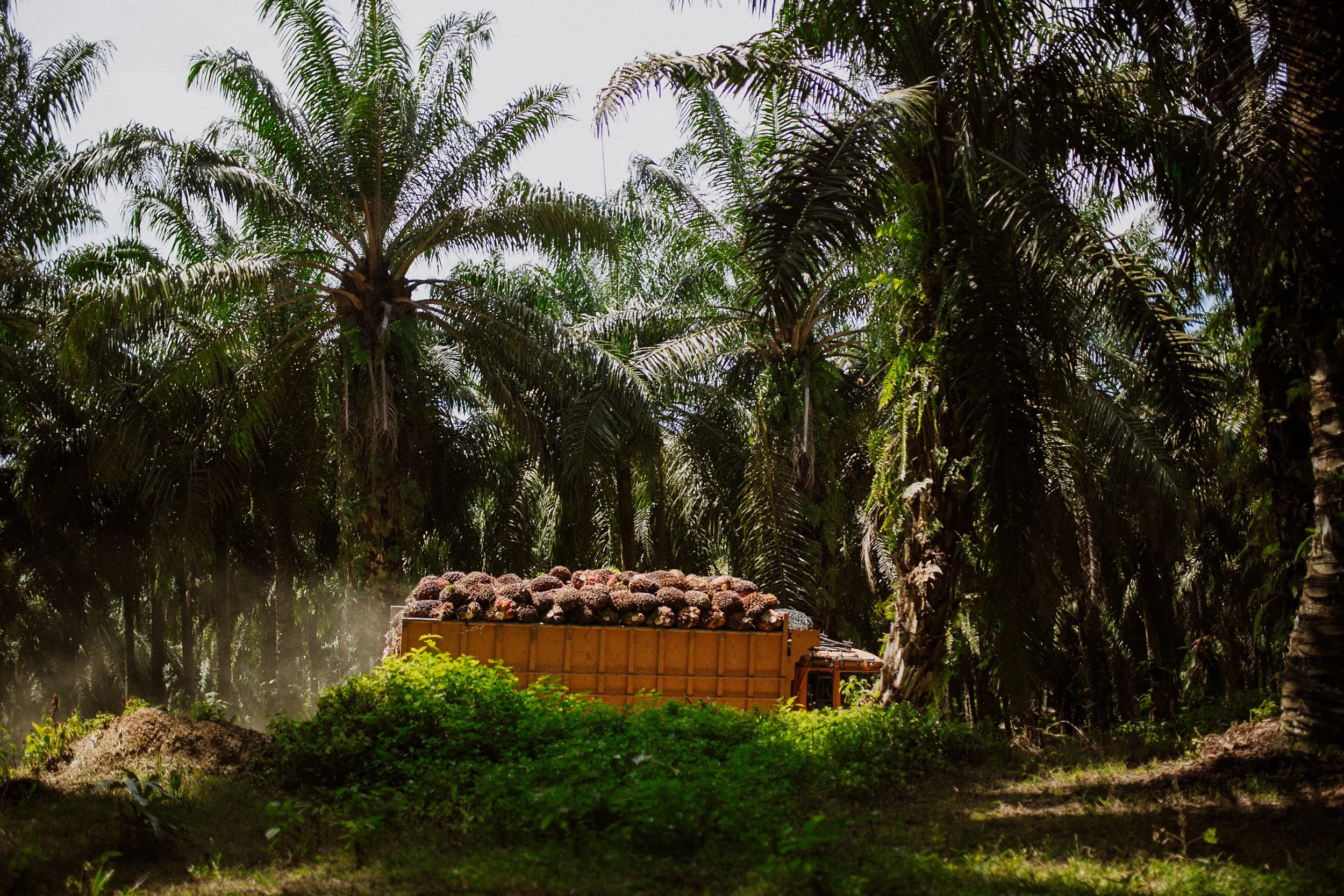 Sumatra-Website-Slides-22.jpg