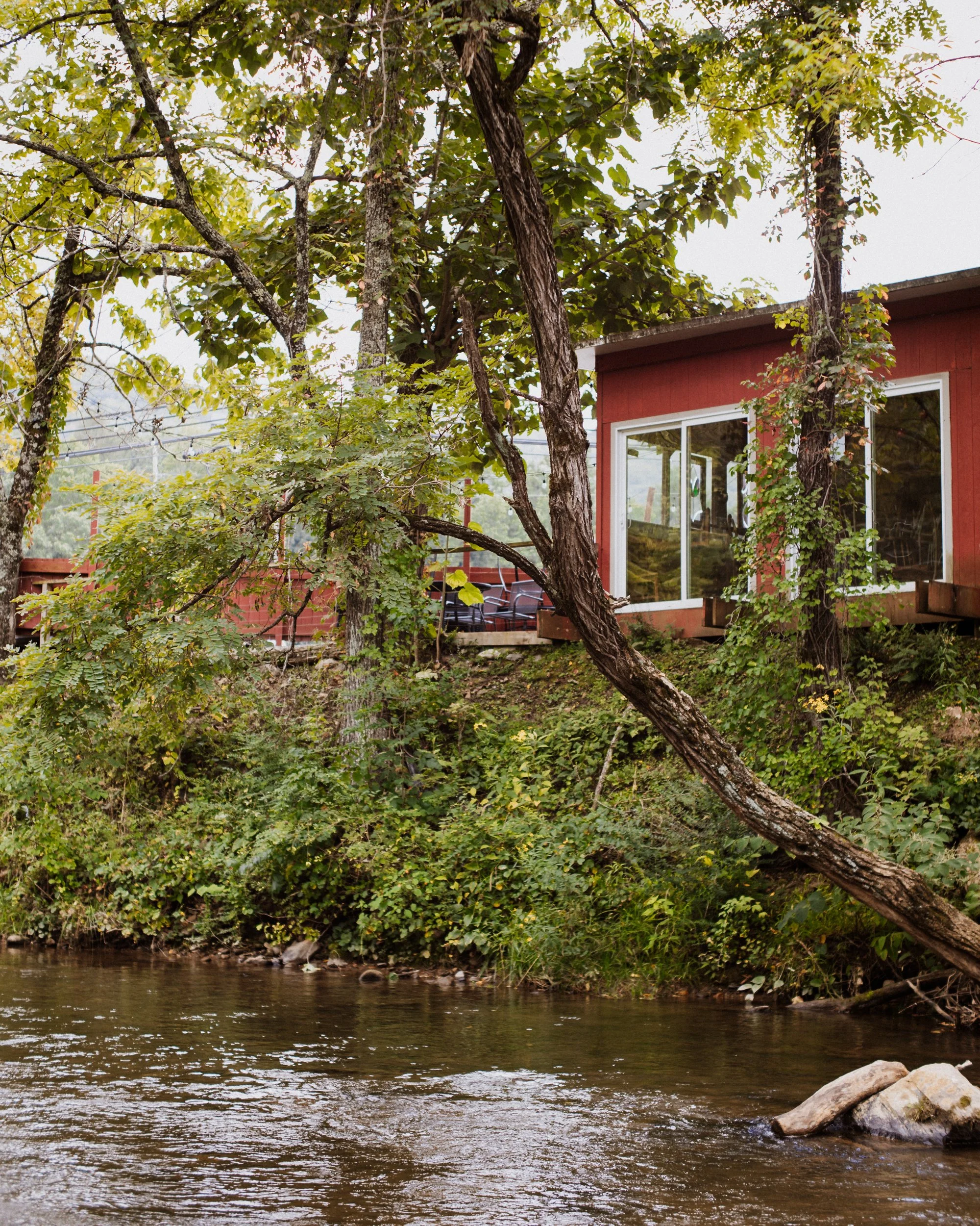 CAB-Dalaya-STREAM-1.jpg