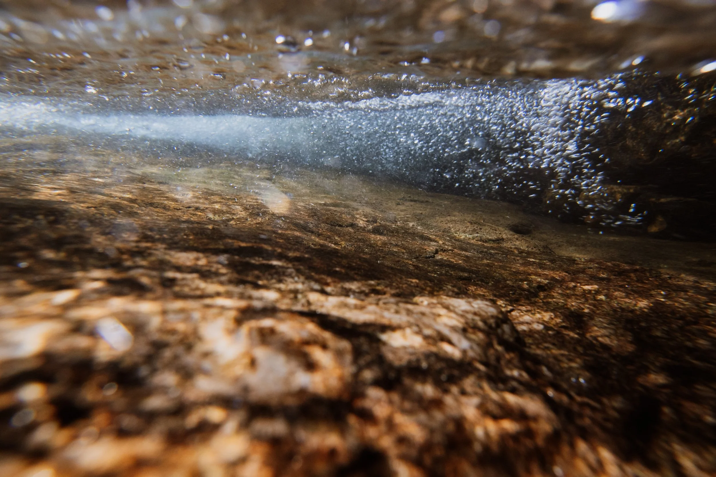 WNC-AAPI-Water-Hike-6.jpg