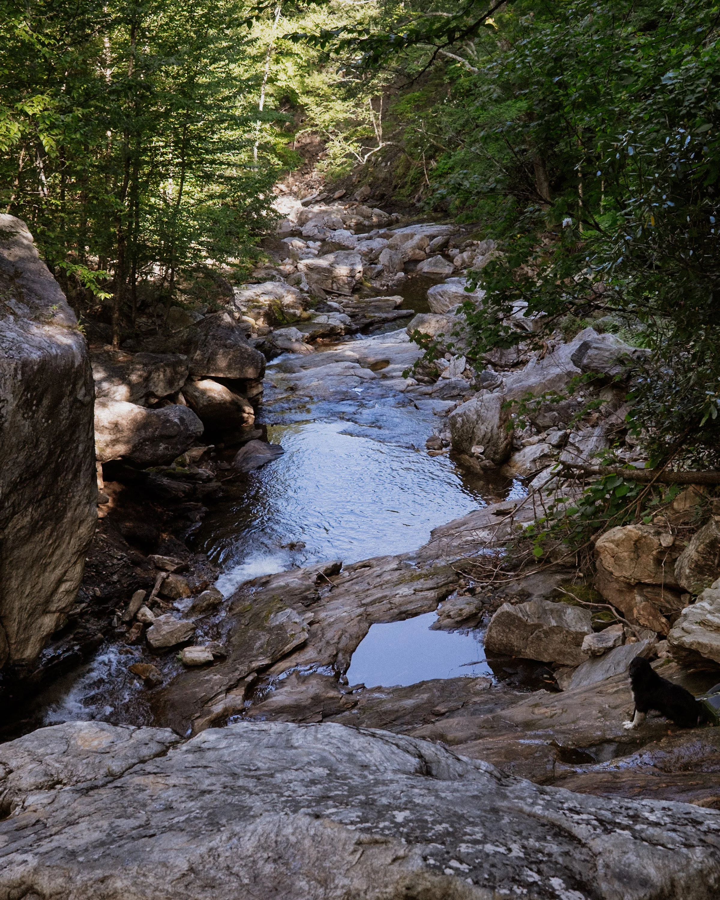 WNC-AAPI-Water-Hike-8.jpg