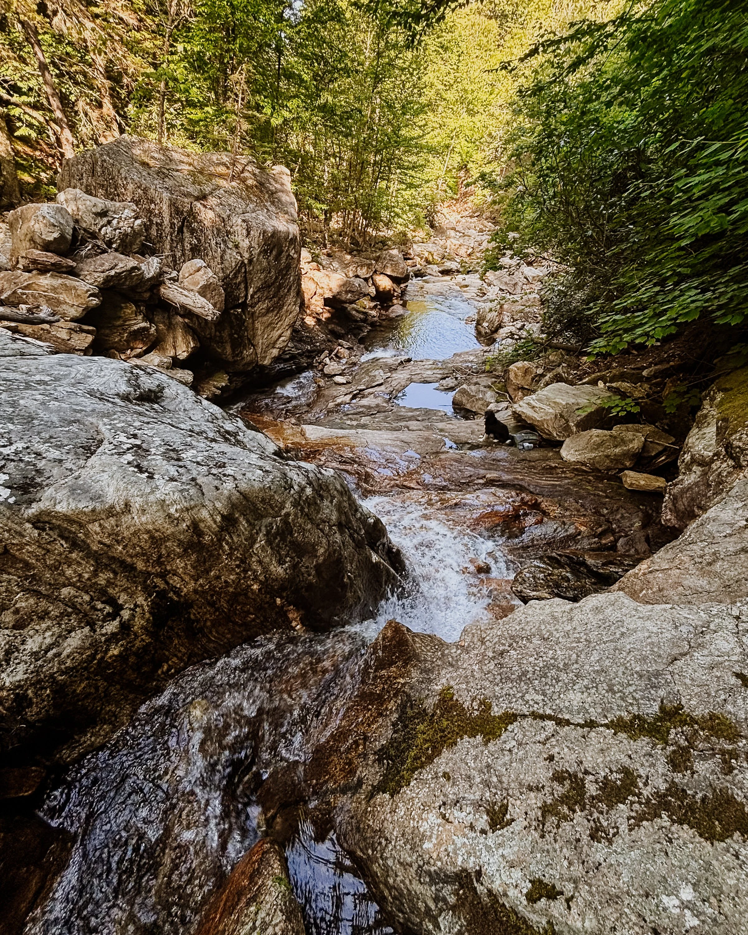WNC-AAPI-Water-Hike-10.jpg