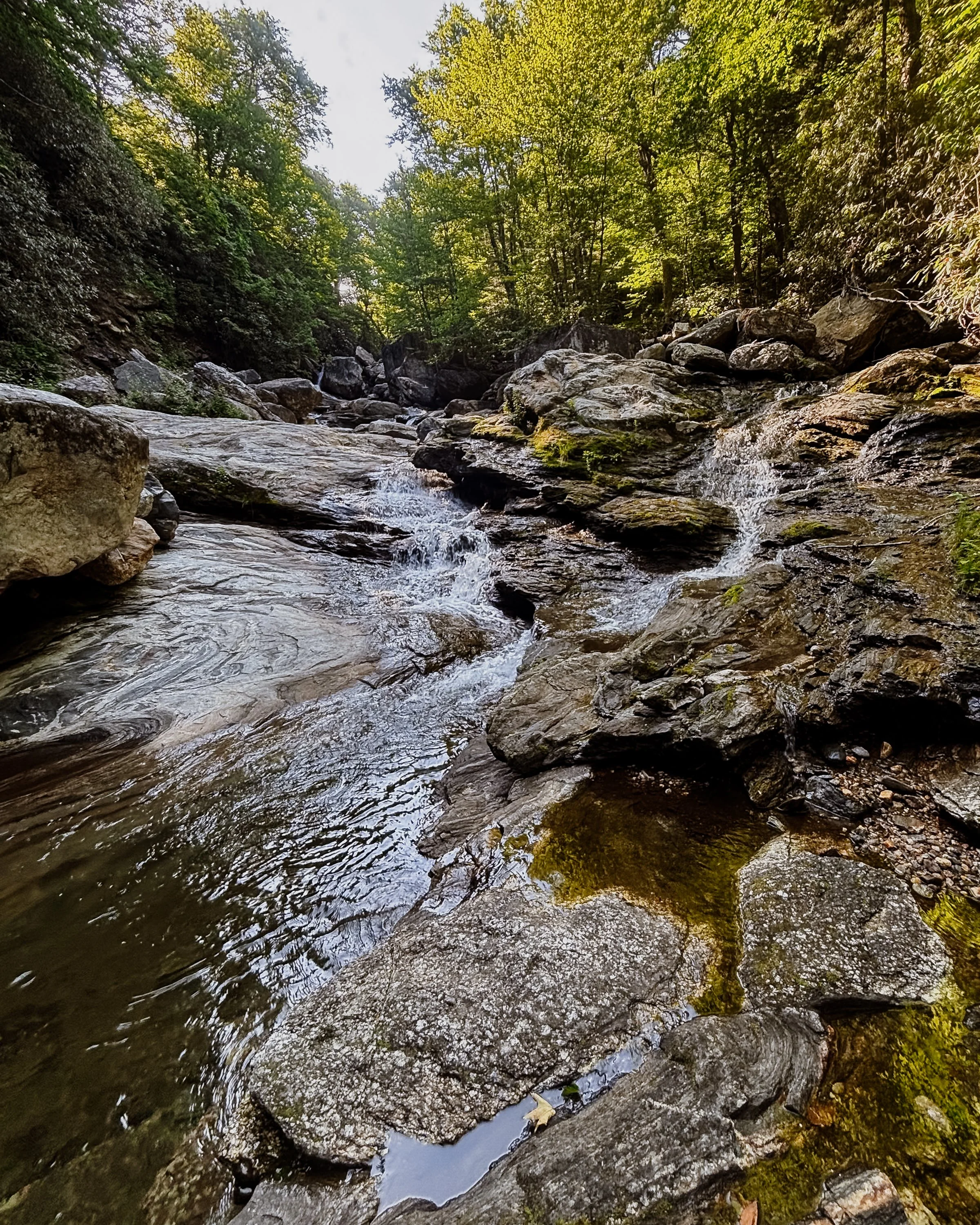 WNC-AAPI-Water-Hike-11.jpg