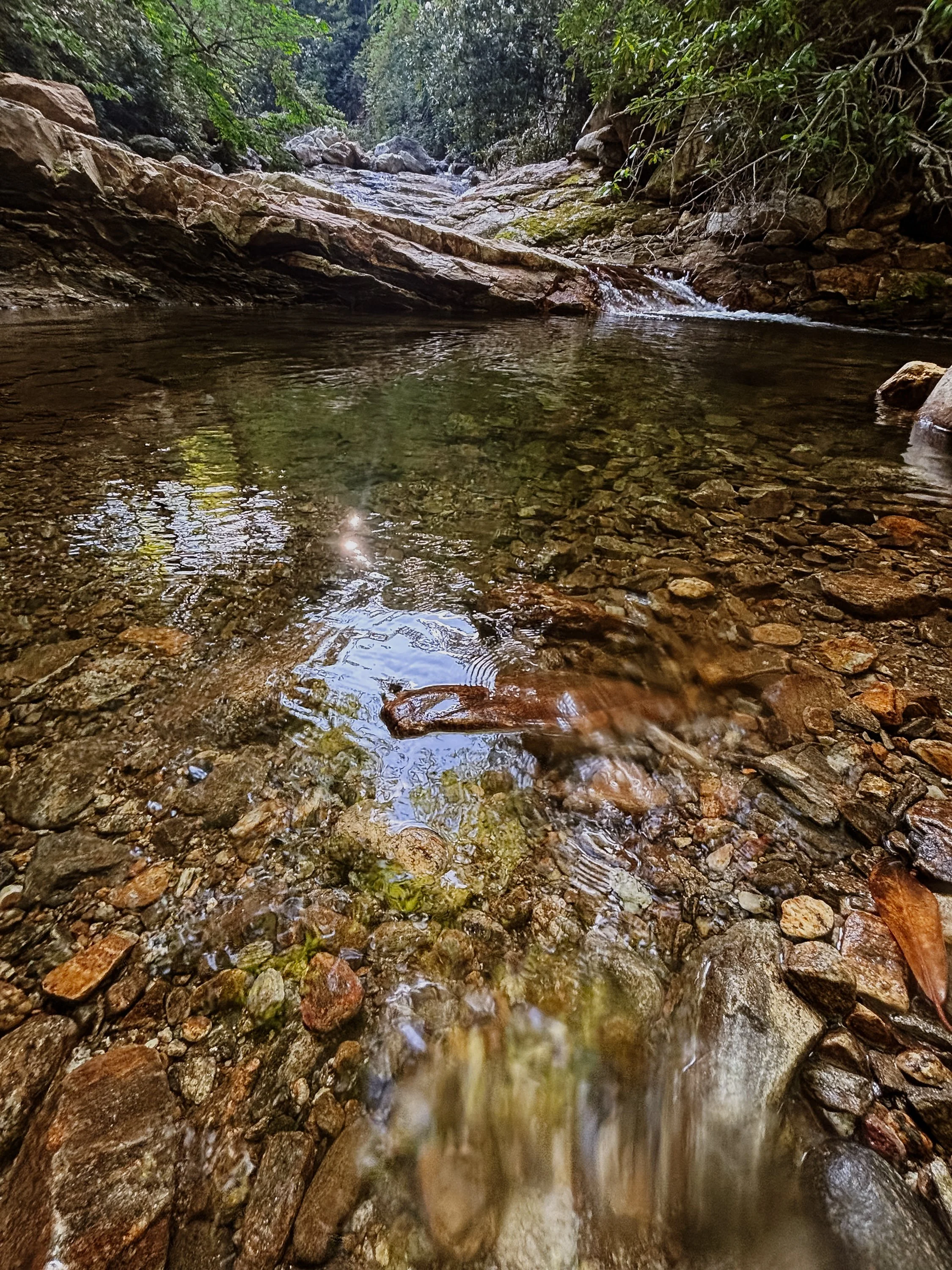WNC-AAPI-Water-Hike-12.jpg