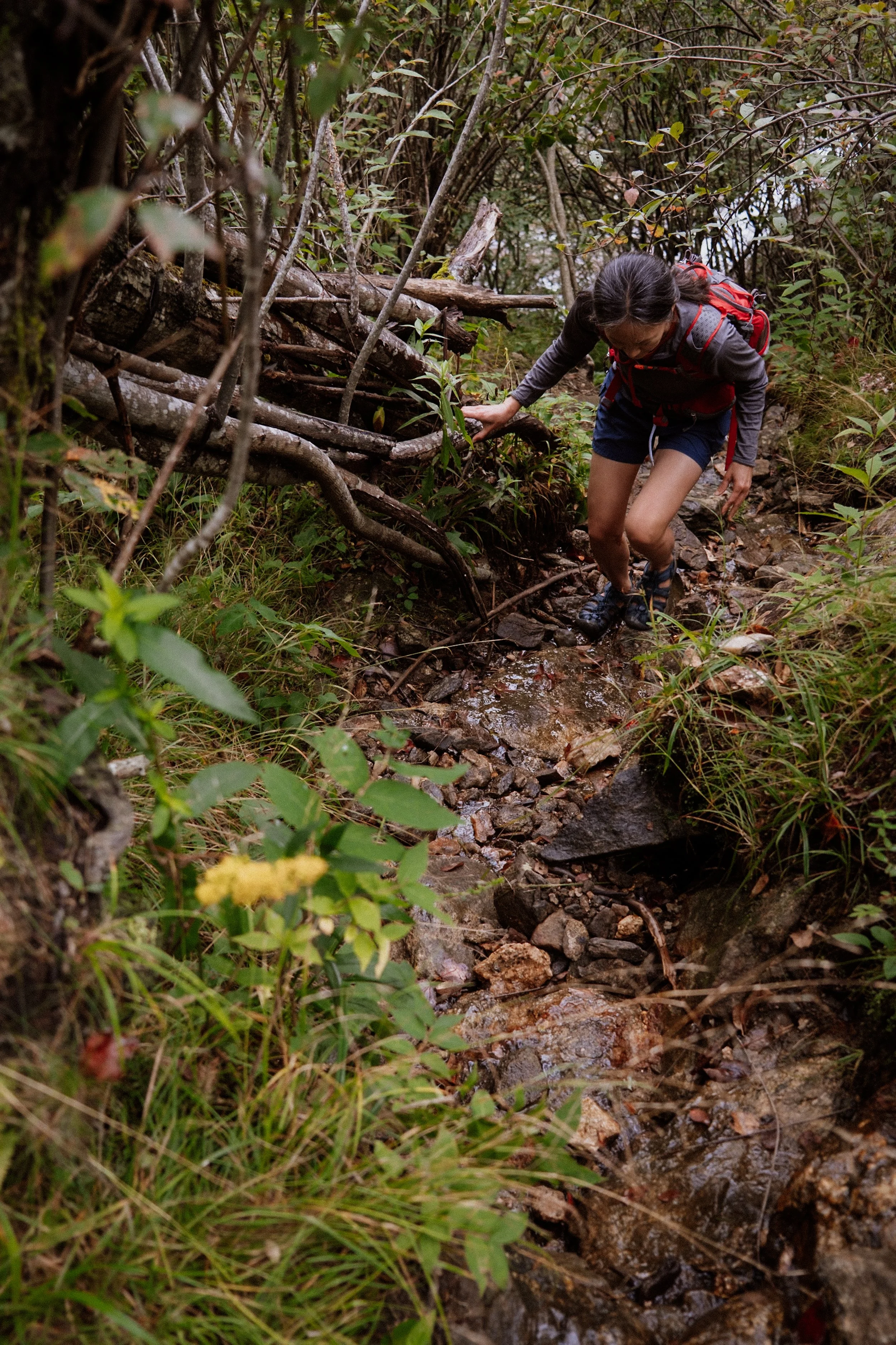 Hike-Camp-Hike-6.jpg