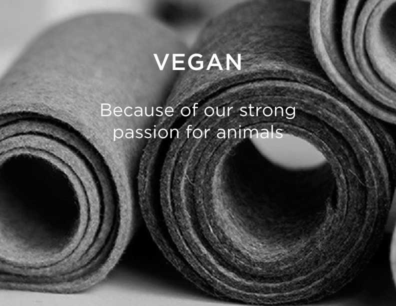 02-values-vegan.jpg