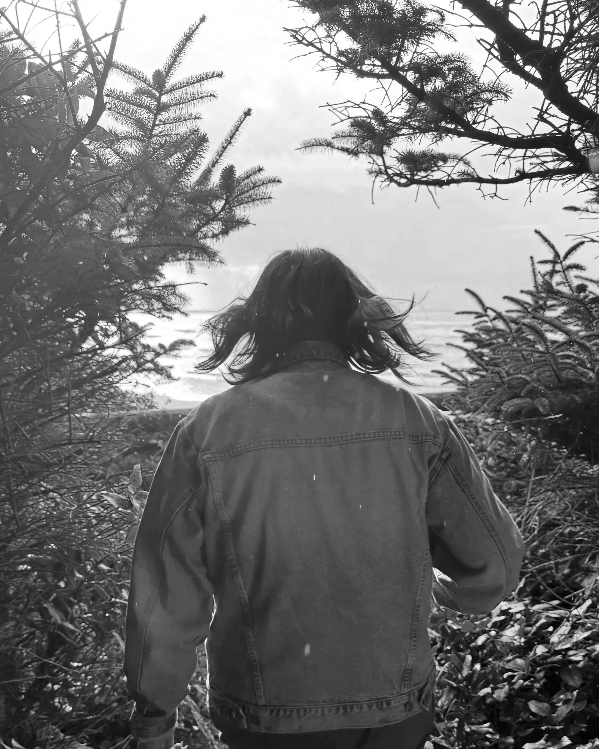 Week of December  1st-7th