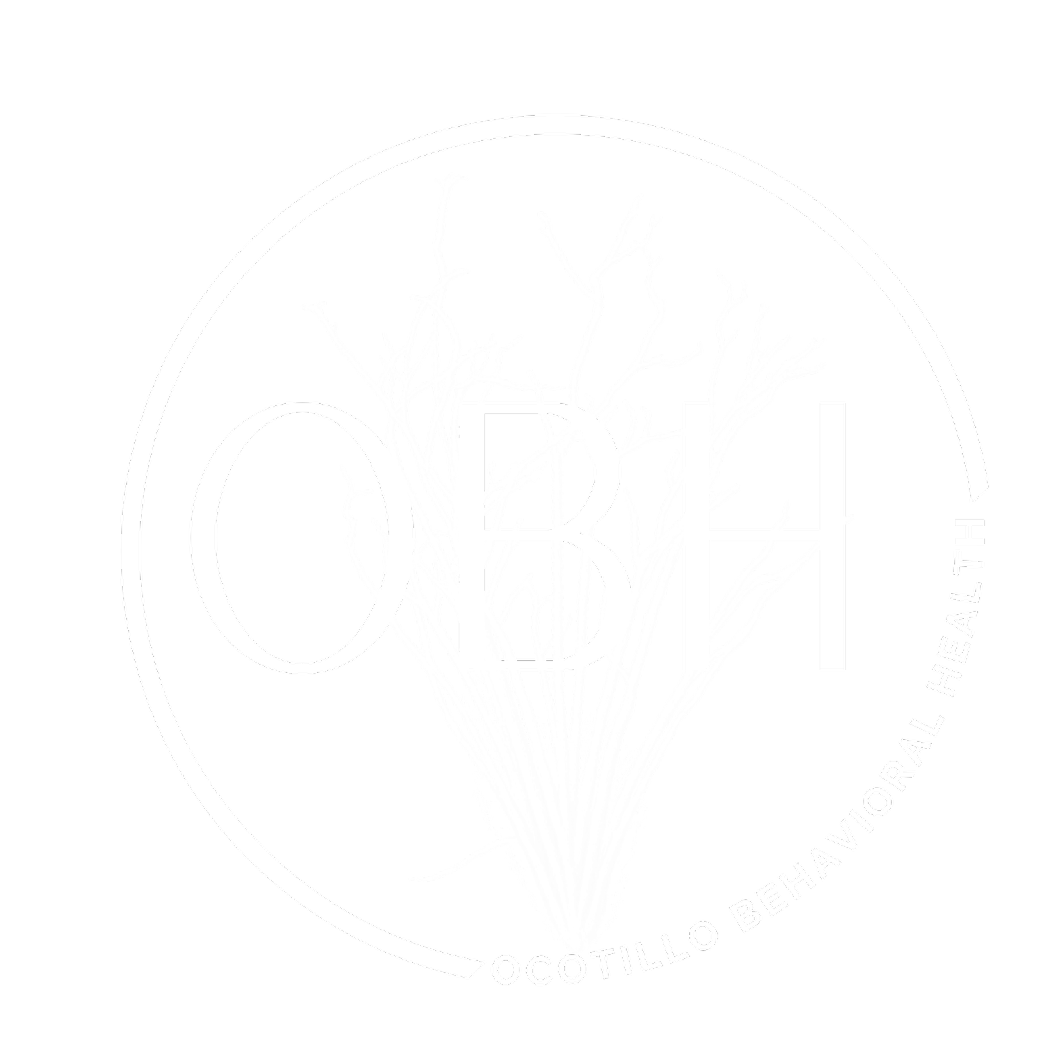 Ocotillo Behavioral Health 