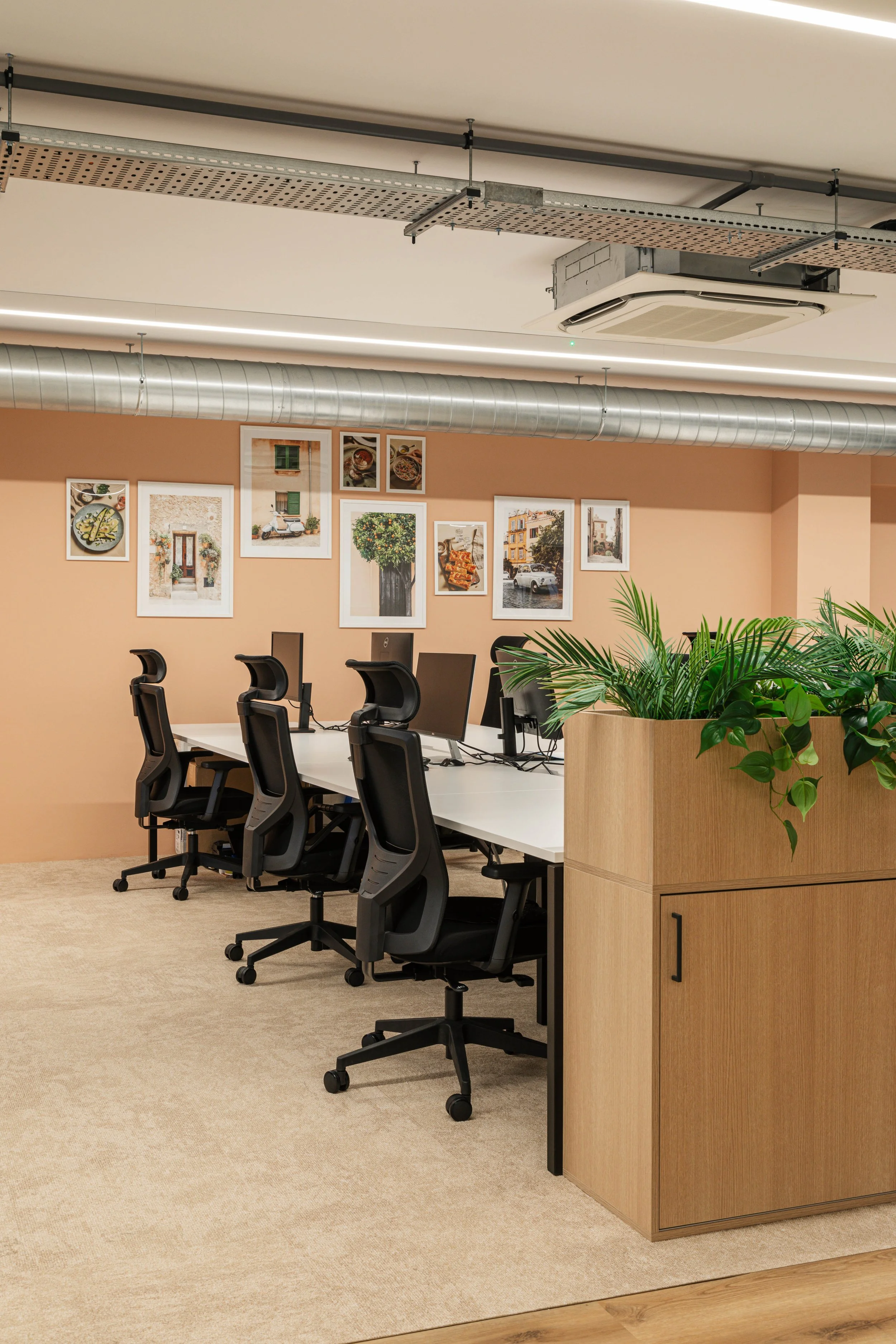 Whitepaper — Pasta Evangelists