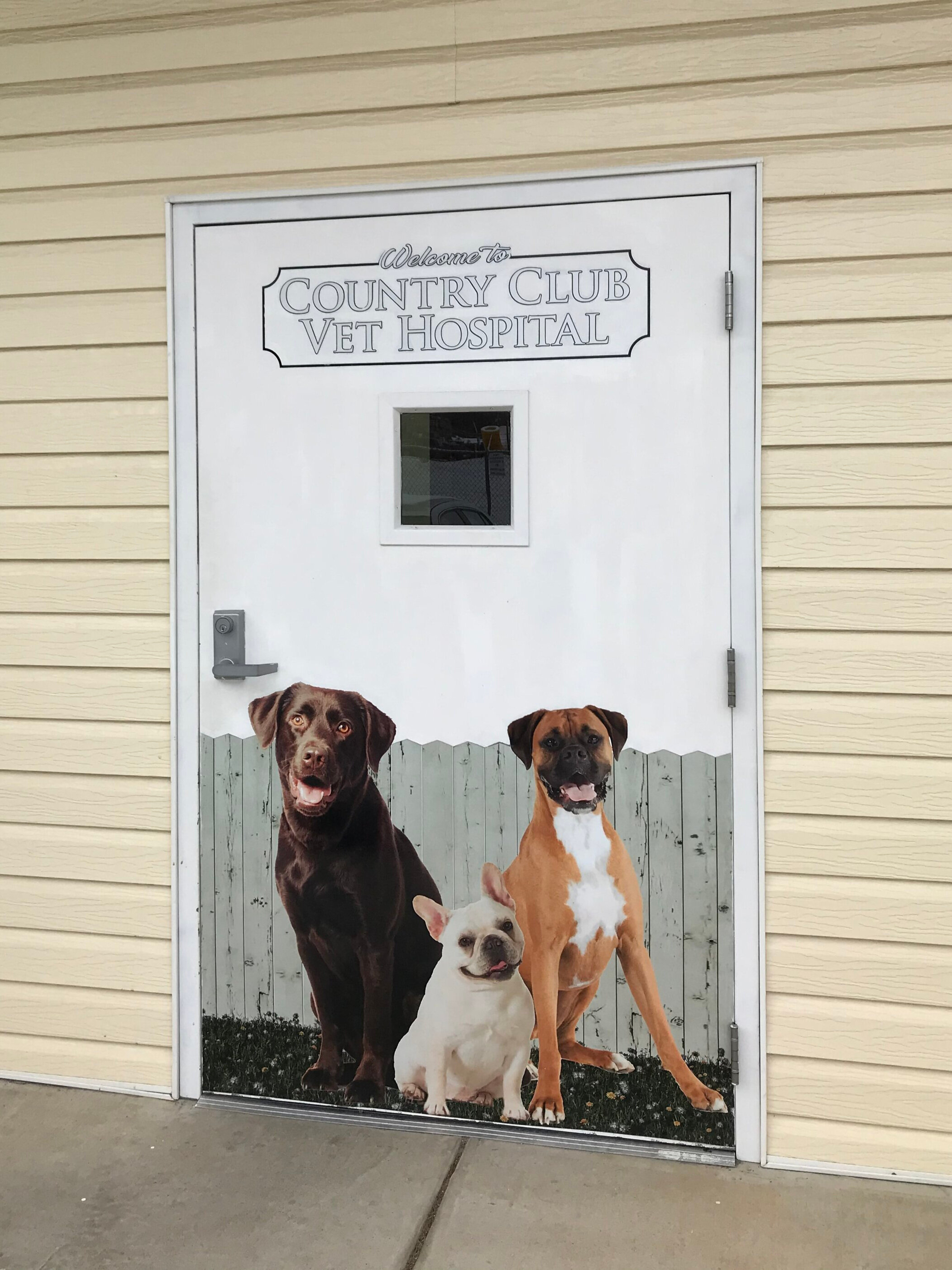 wilson veterinary hospital reviews
