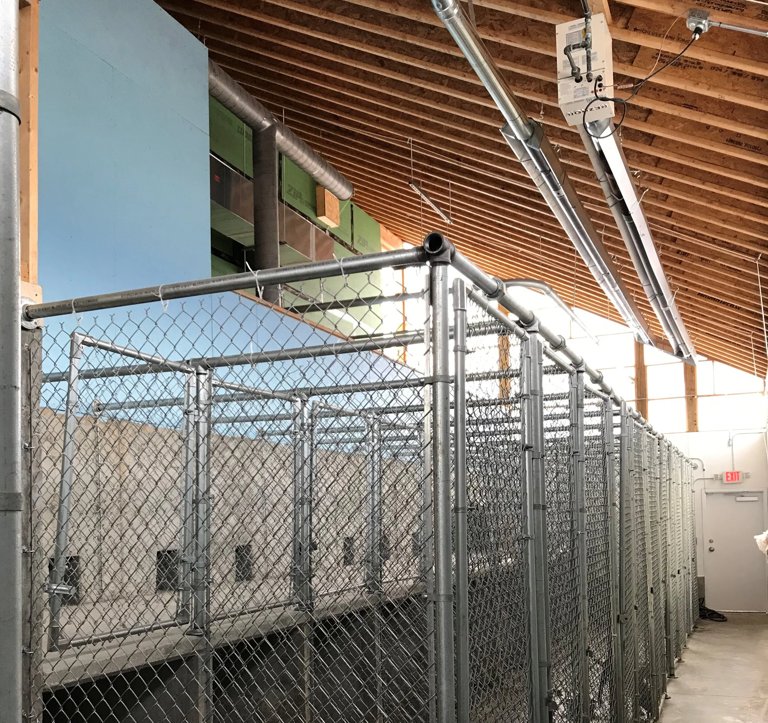 Boarding — Country Club Veterinary Hospital