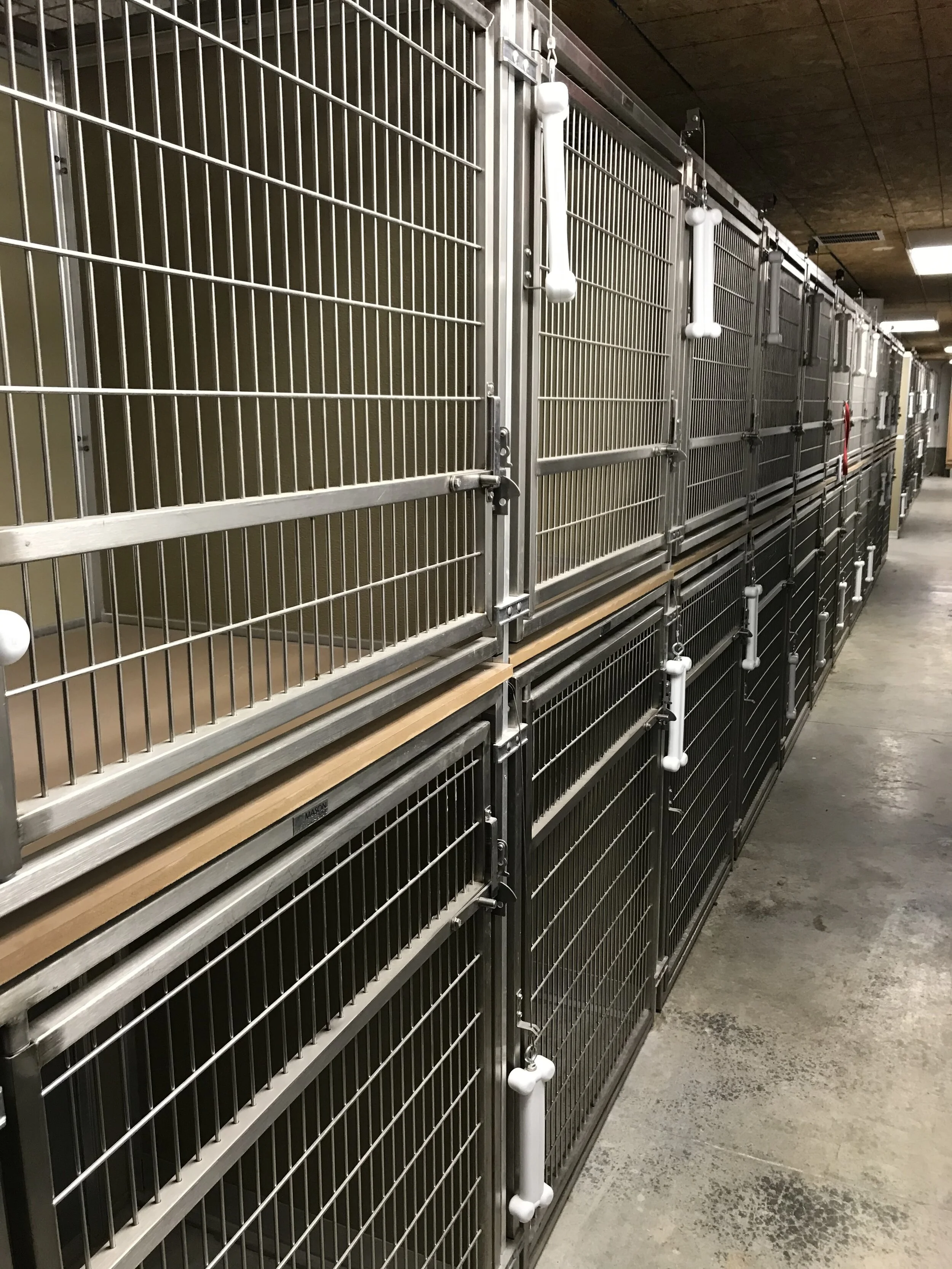 Boarding — Country Club Veterinary Hospital