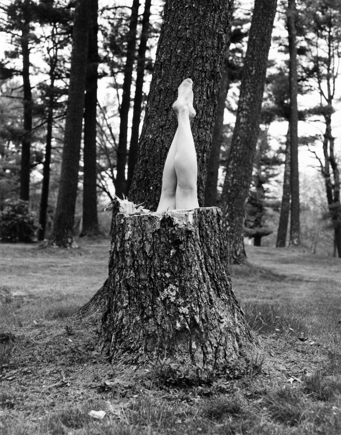 FineArt0005.jpg