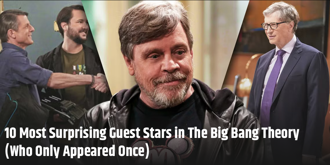 Adam ranked as one of the 10 most surprising Guest Stars in the Big Bang Theory