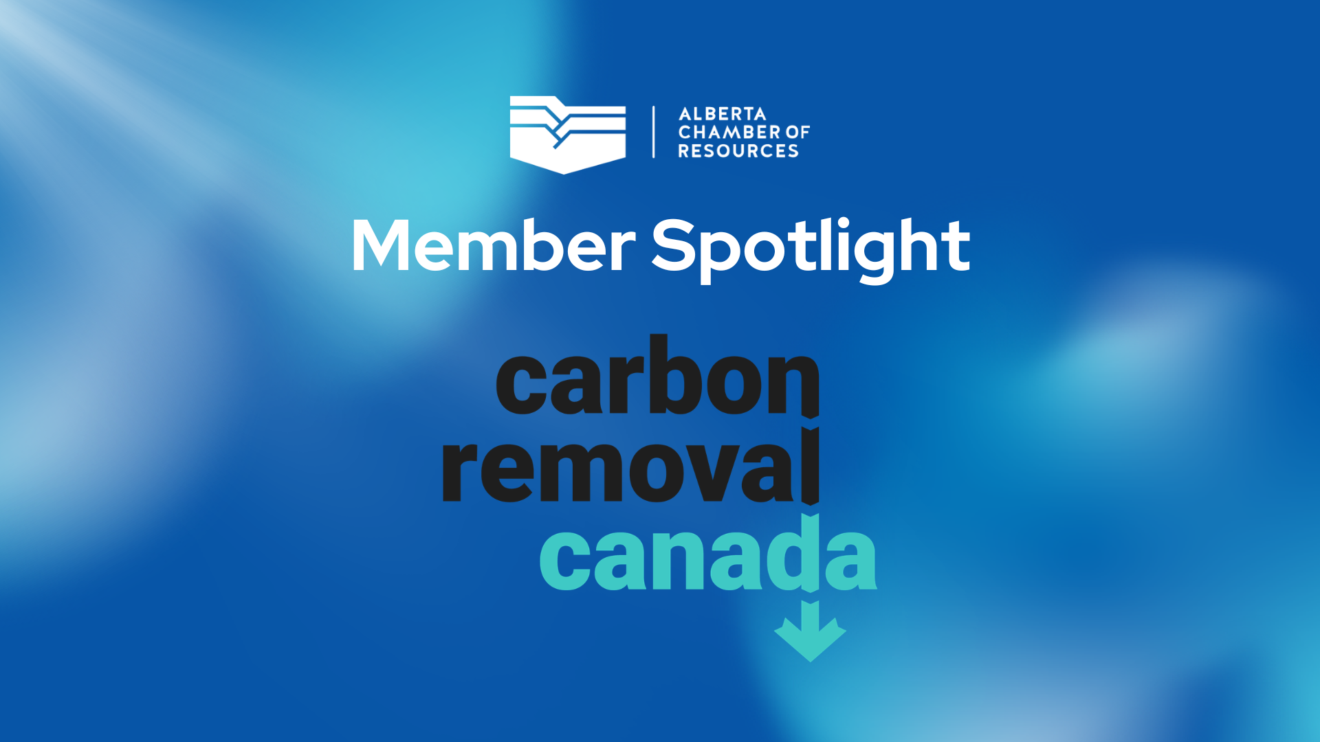Member Spotlight: Carbon Removal Canada