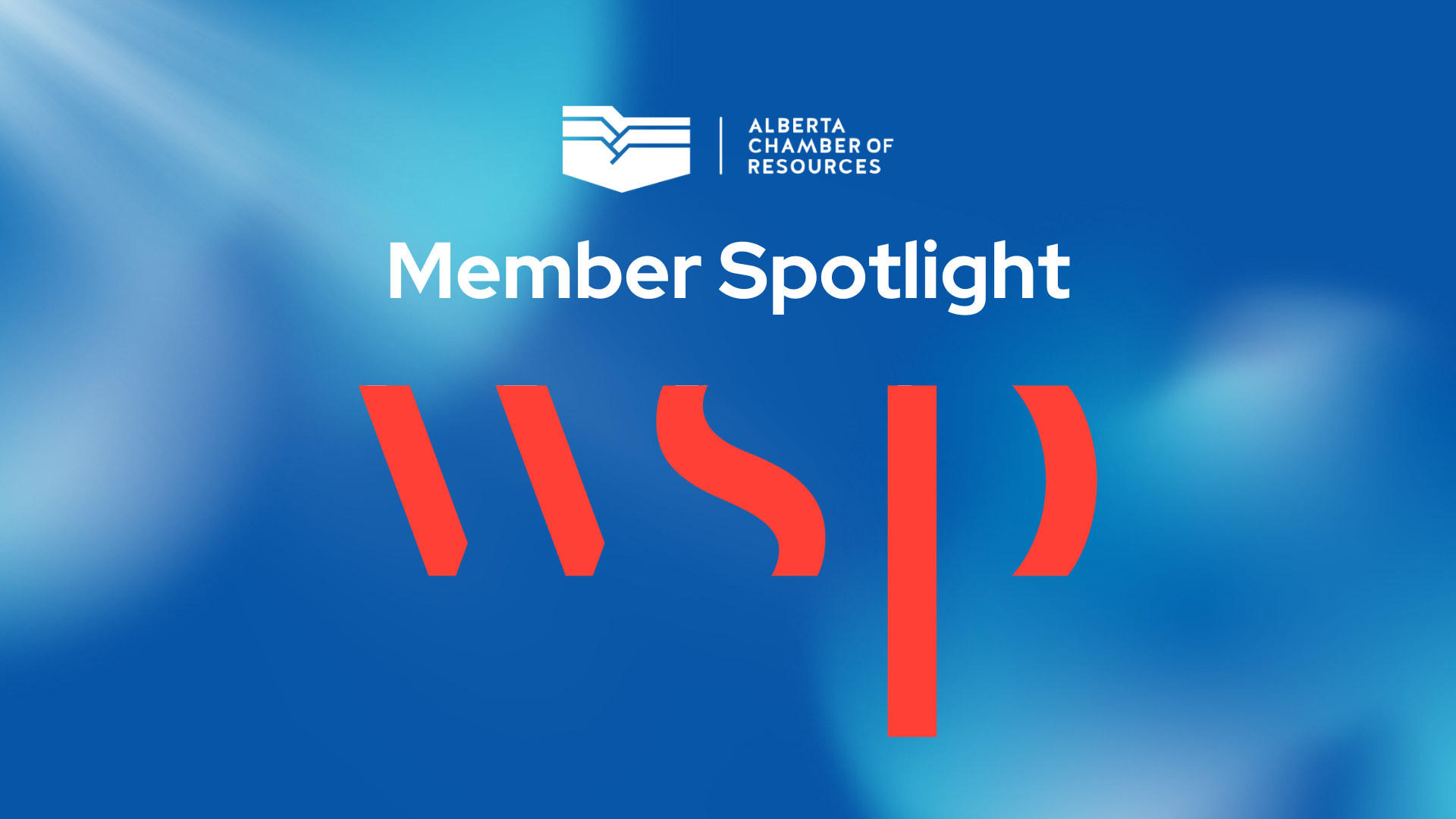 Member Spotlight: WSP