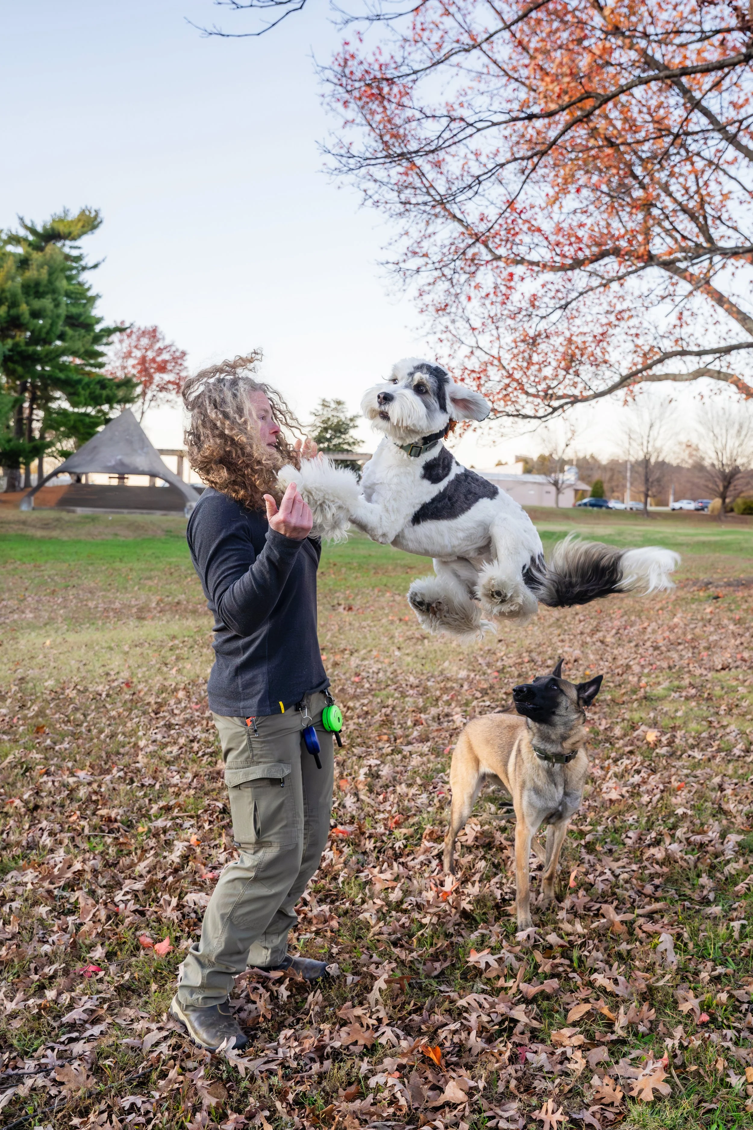 Kristin Sharp Photography - Kristi Anderson & Dogs Nov 2024-84.jpg