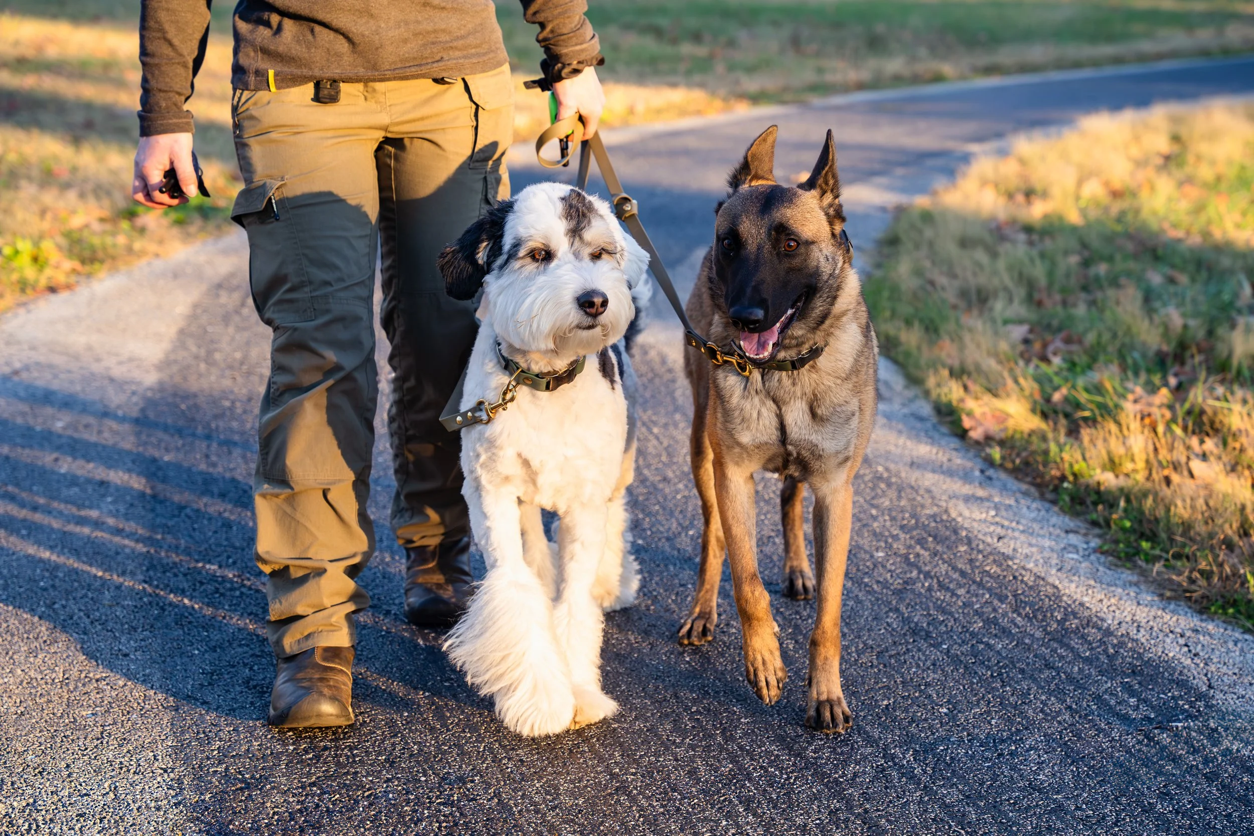 Kristin Sharp Photography - Kristi Anderson & Dogs Nov 2024-27.jpg