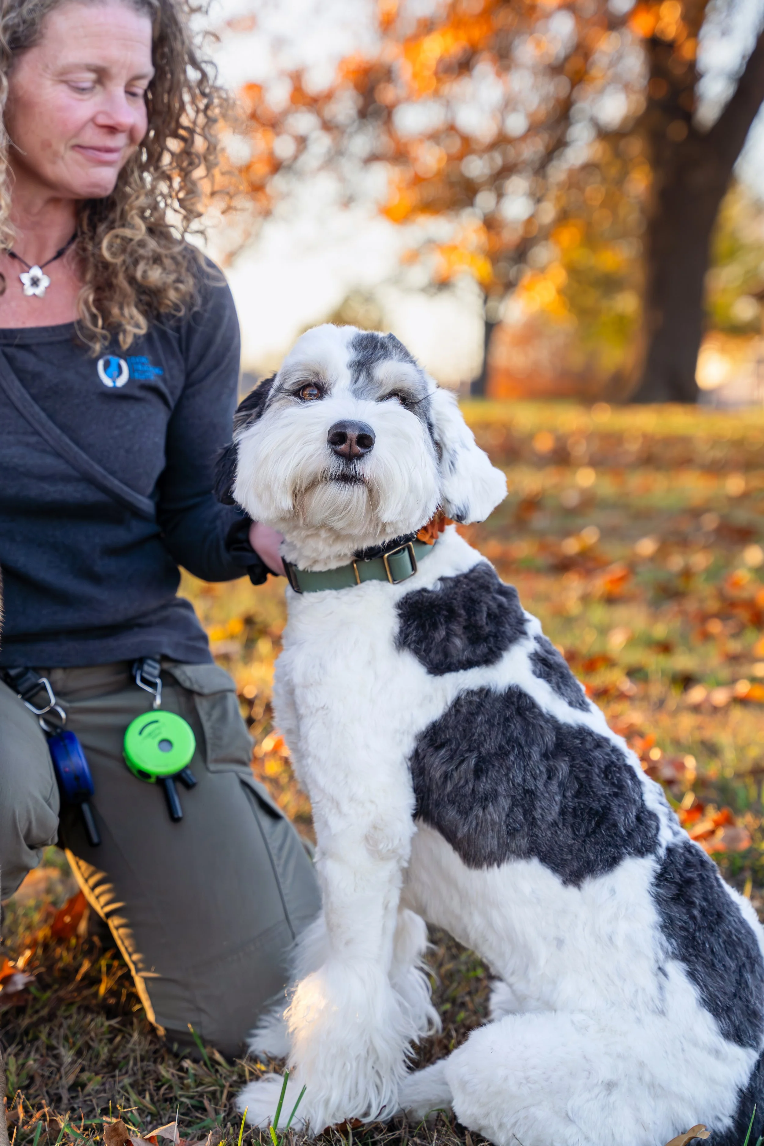 Kristin Sharp Photography - Kristi Anderson & Dogs Nov 2024-17.jpg