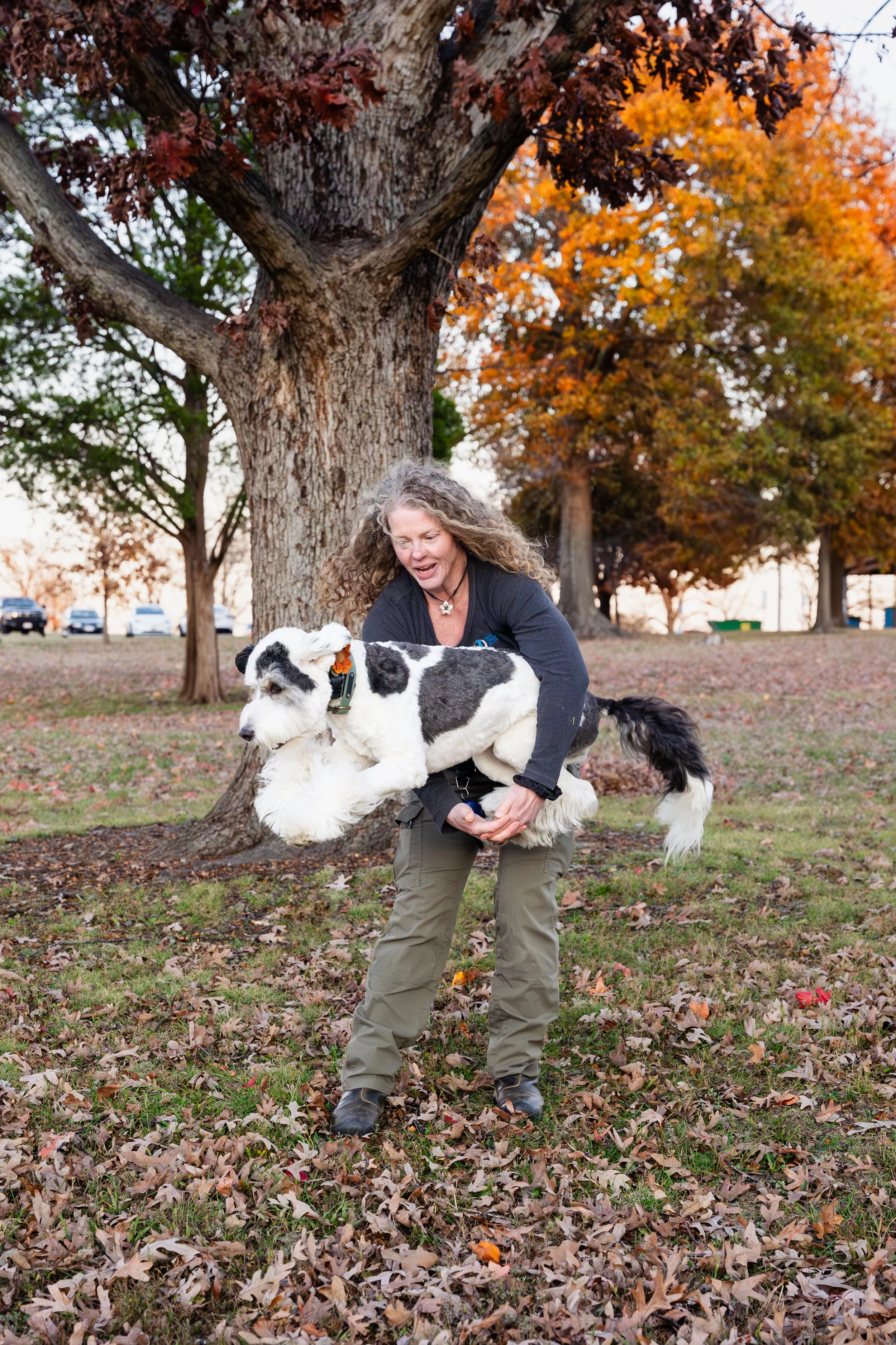 Kristin Sharp Photography - Kristi Anderson & Dogs Nov 2024-98.jpg